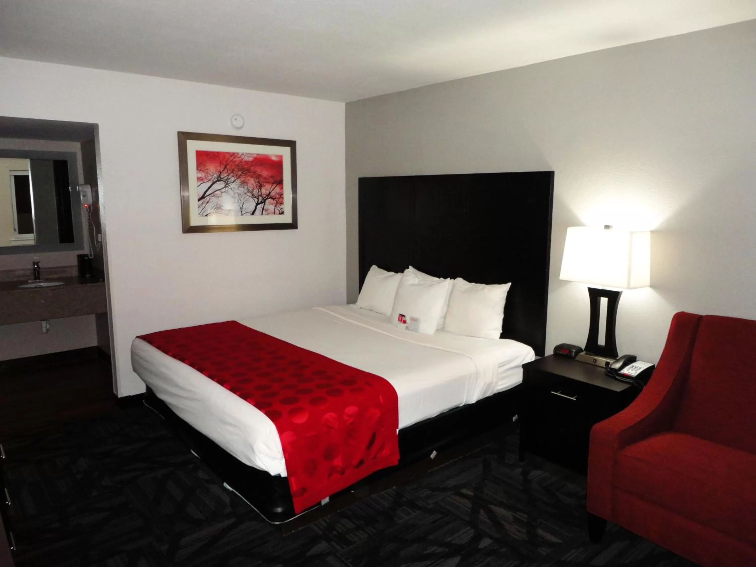 Exterior King Room - Non-Smoking in Ramada by Wyndham Tuscaloosa
