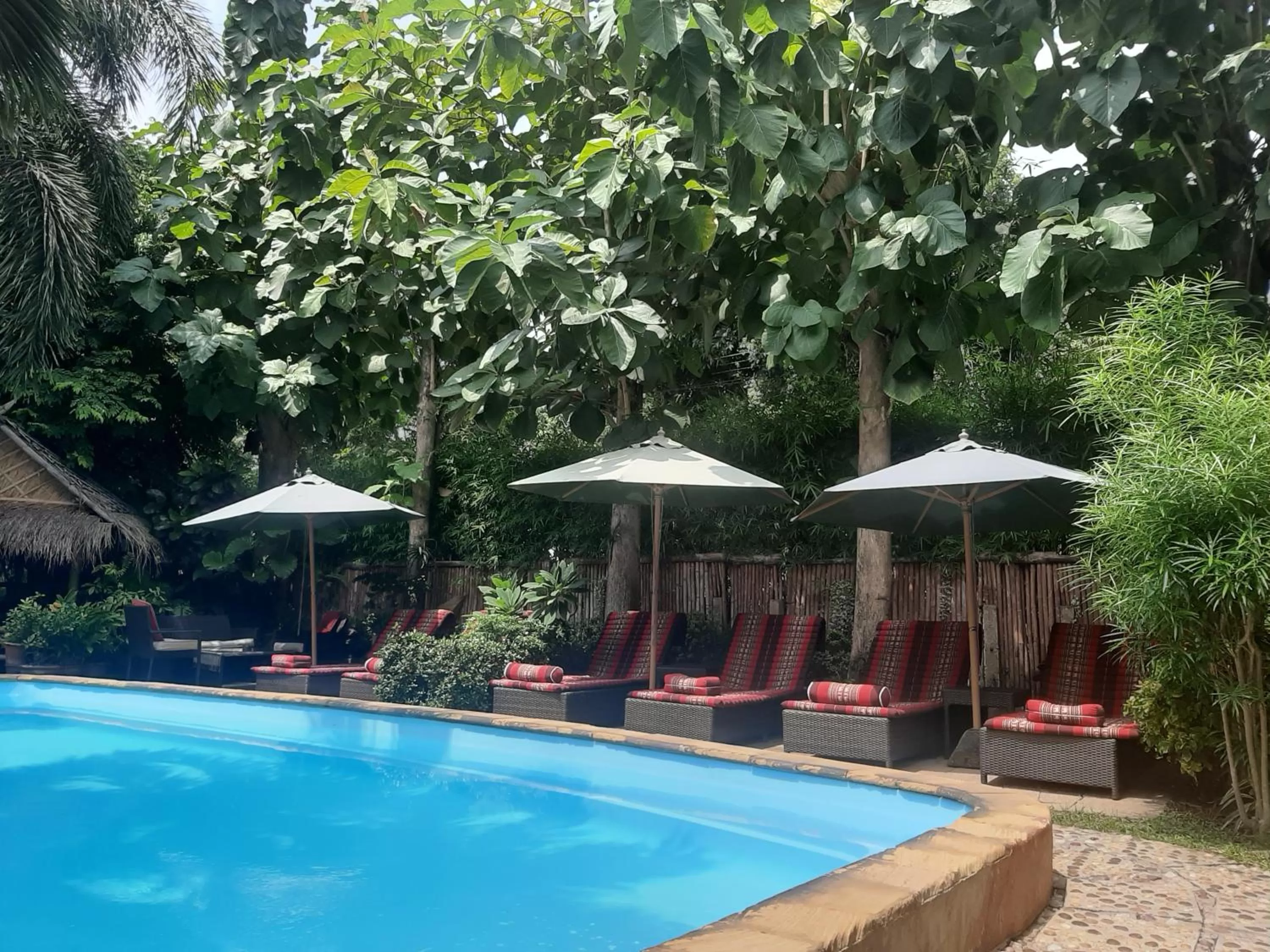 Swimming pool in Liam's Guesthouse Adults Only