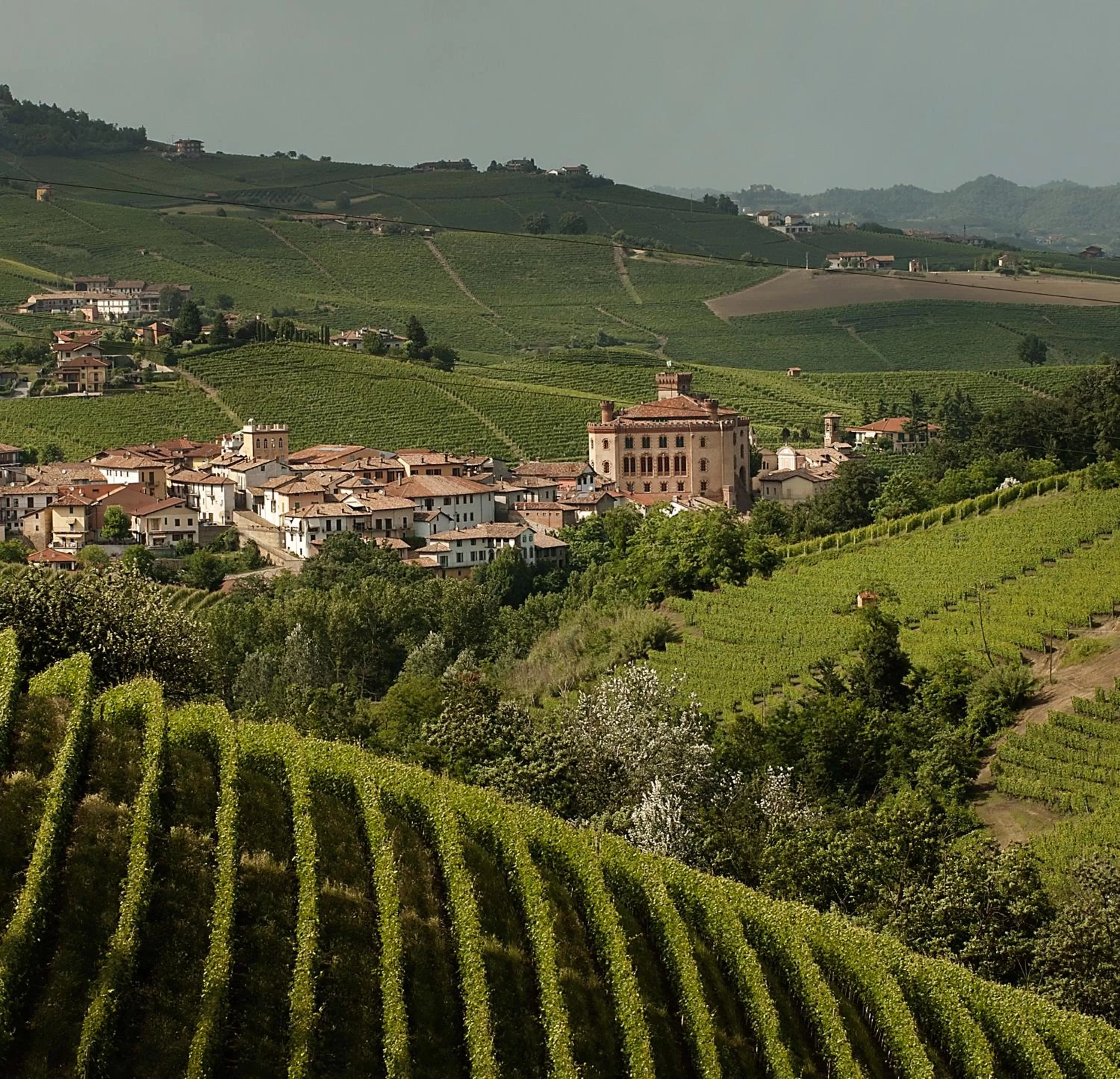 Albavillage Rooms & Camping