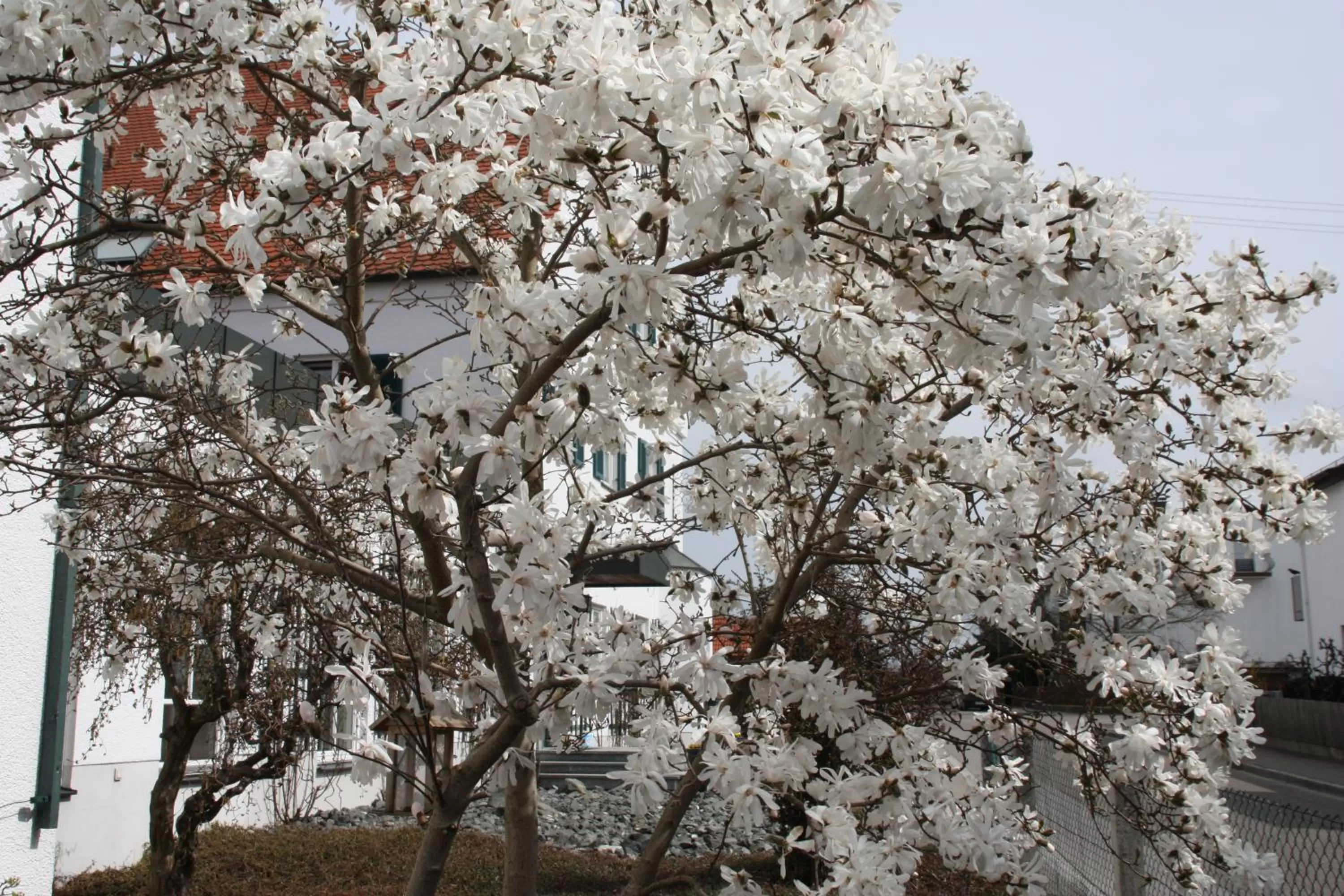 Garden in Hotel Gasthaus Wangerhof