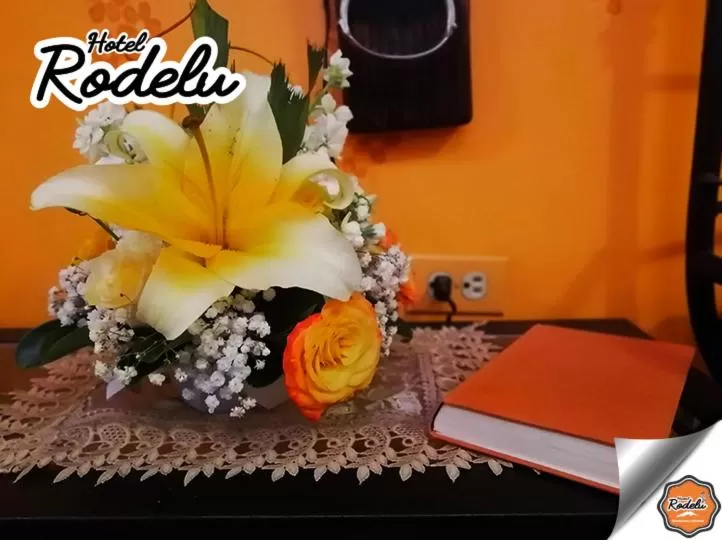 Area and facilities in Hotel Rodelu