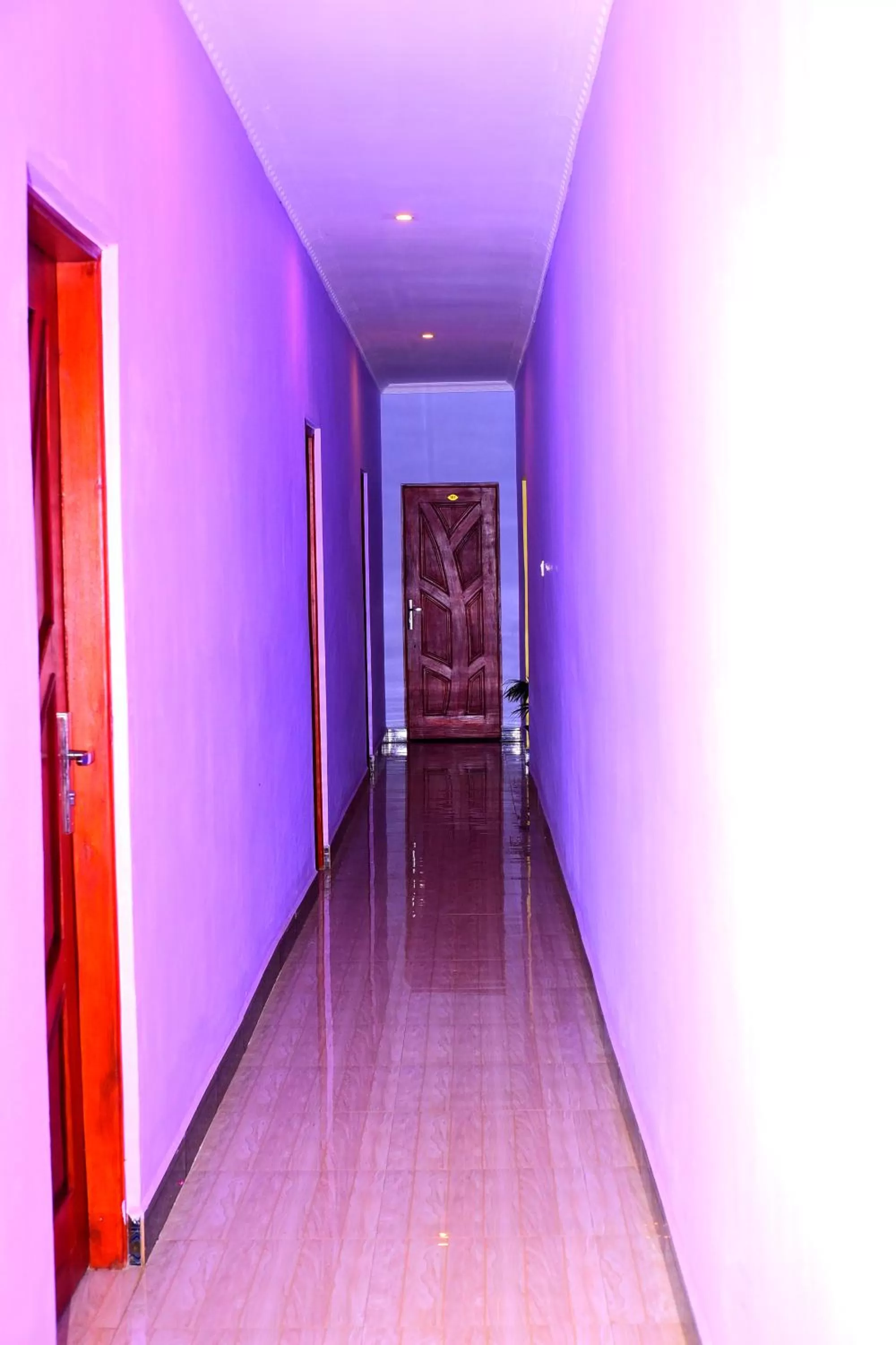 Restaurant/places to eat in Safari Park House