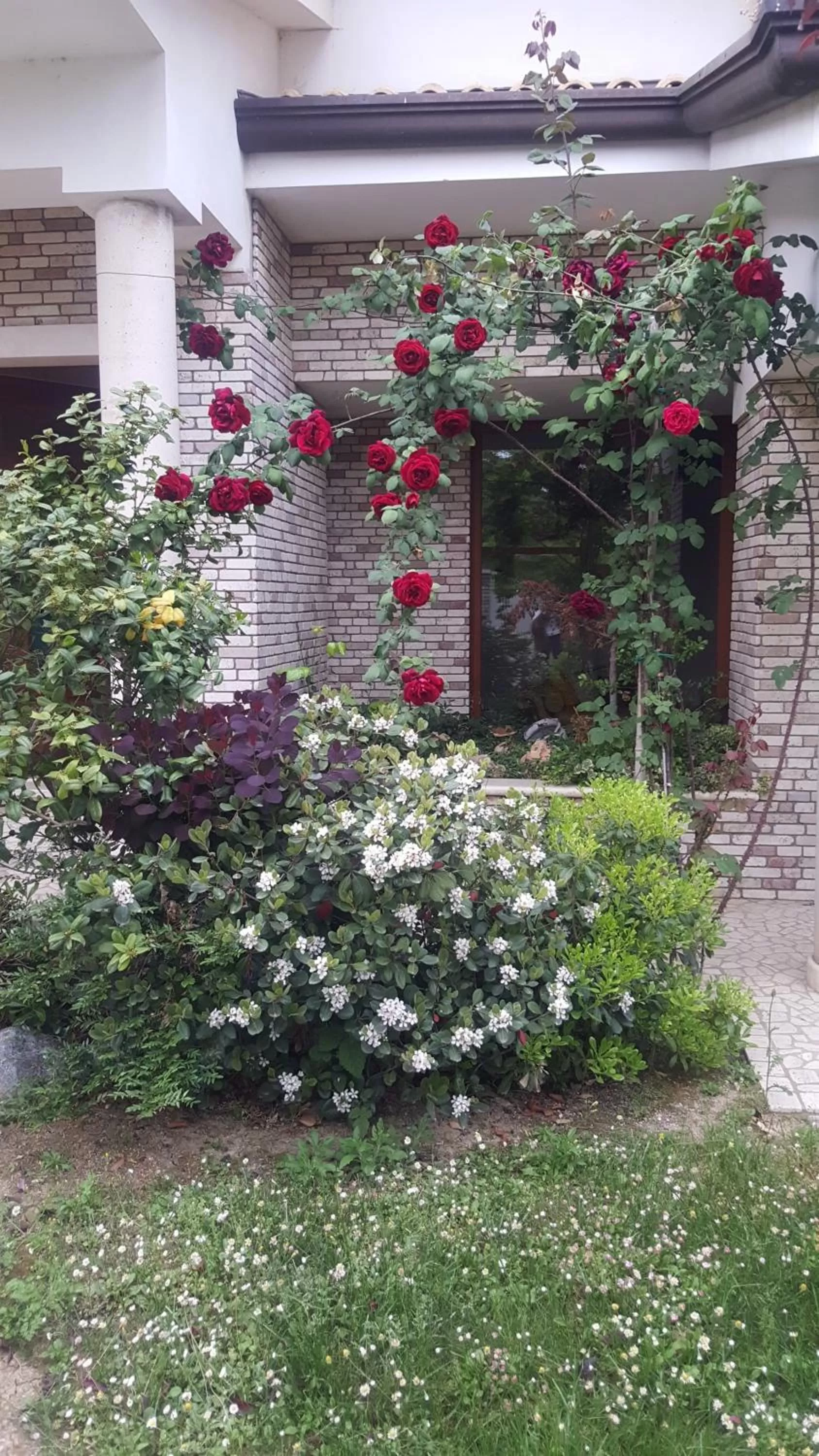 Facade/entrance, Garden in Villa Gioia Rooms