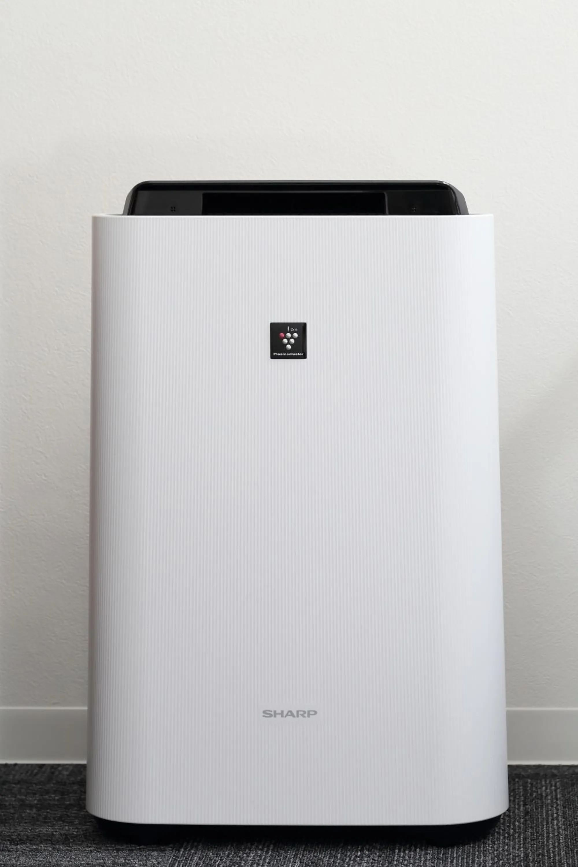 Area and facilities in Henn na Hotel Osaka Namba