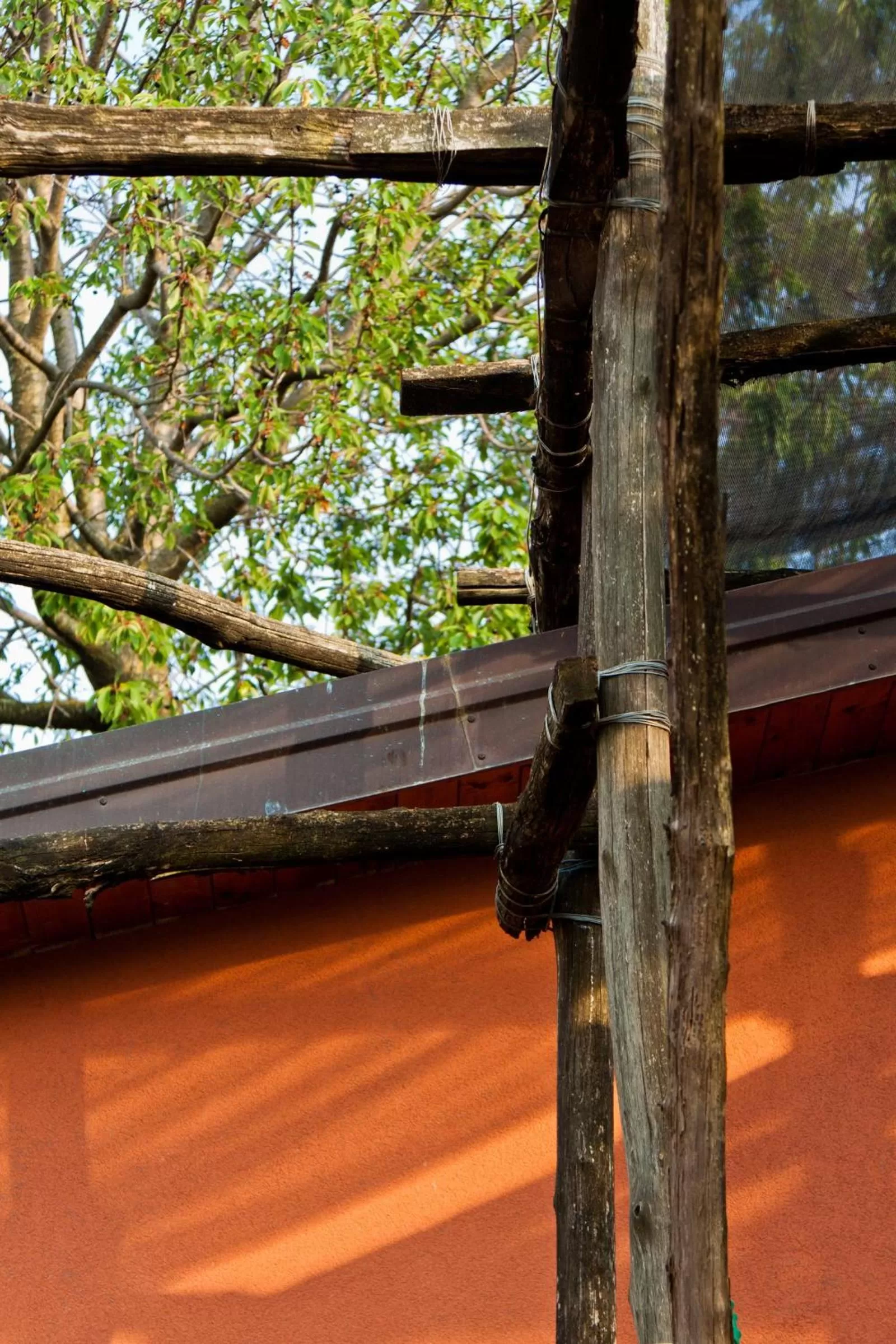 Decorative detail in La Maison de Titty & Margherita