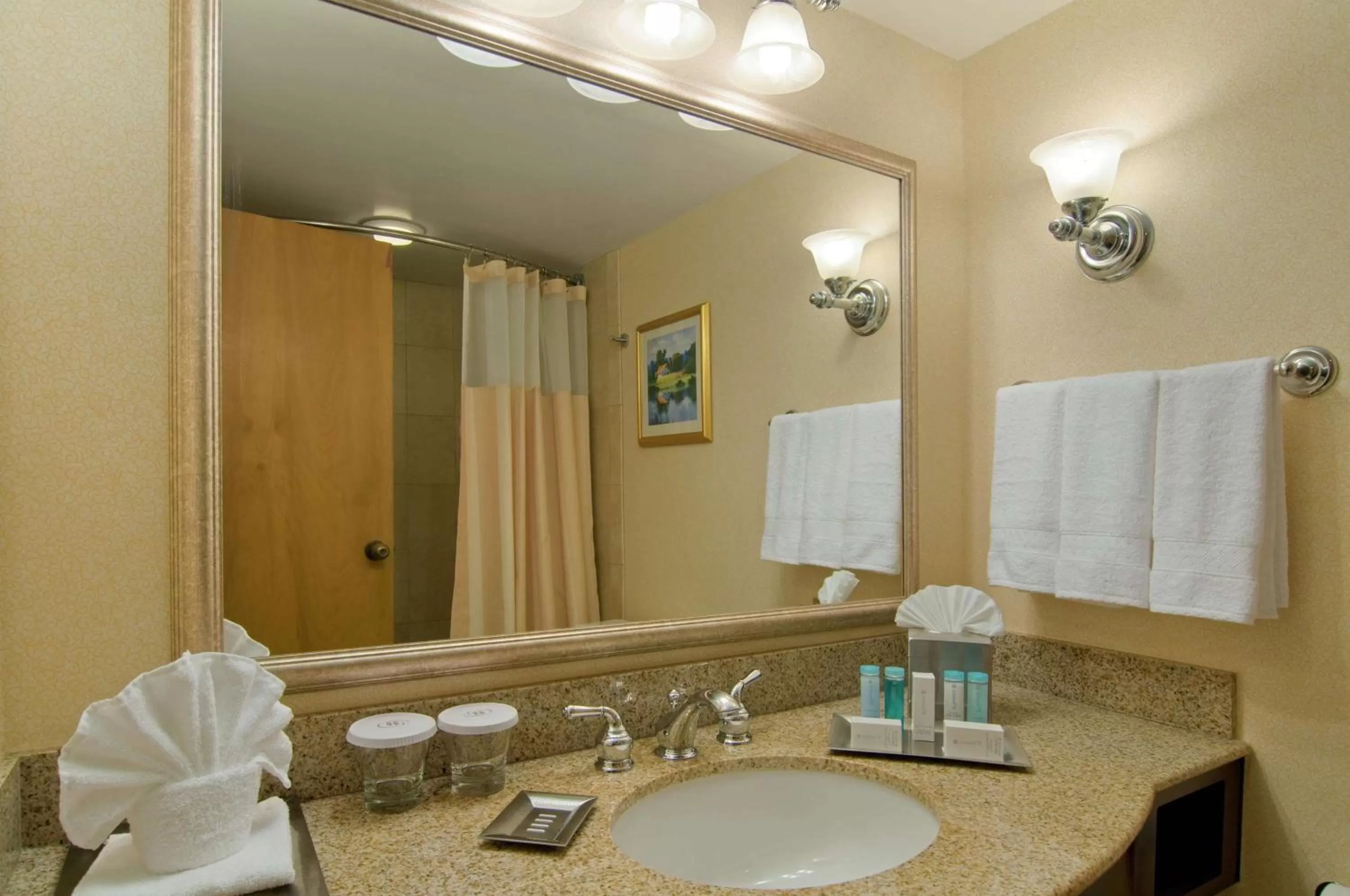 Bathroom in Hilton Raleigh North Hills