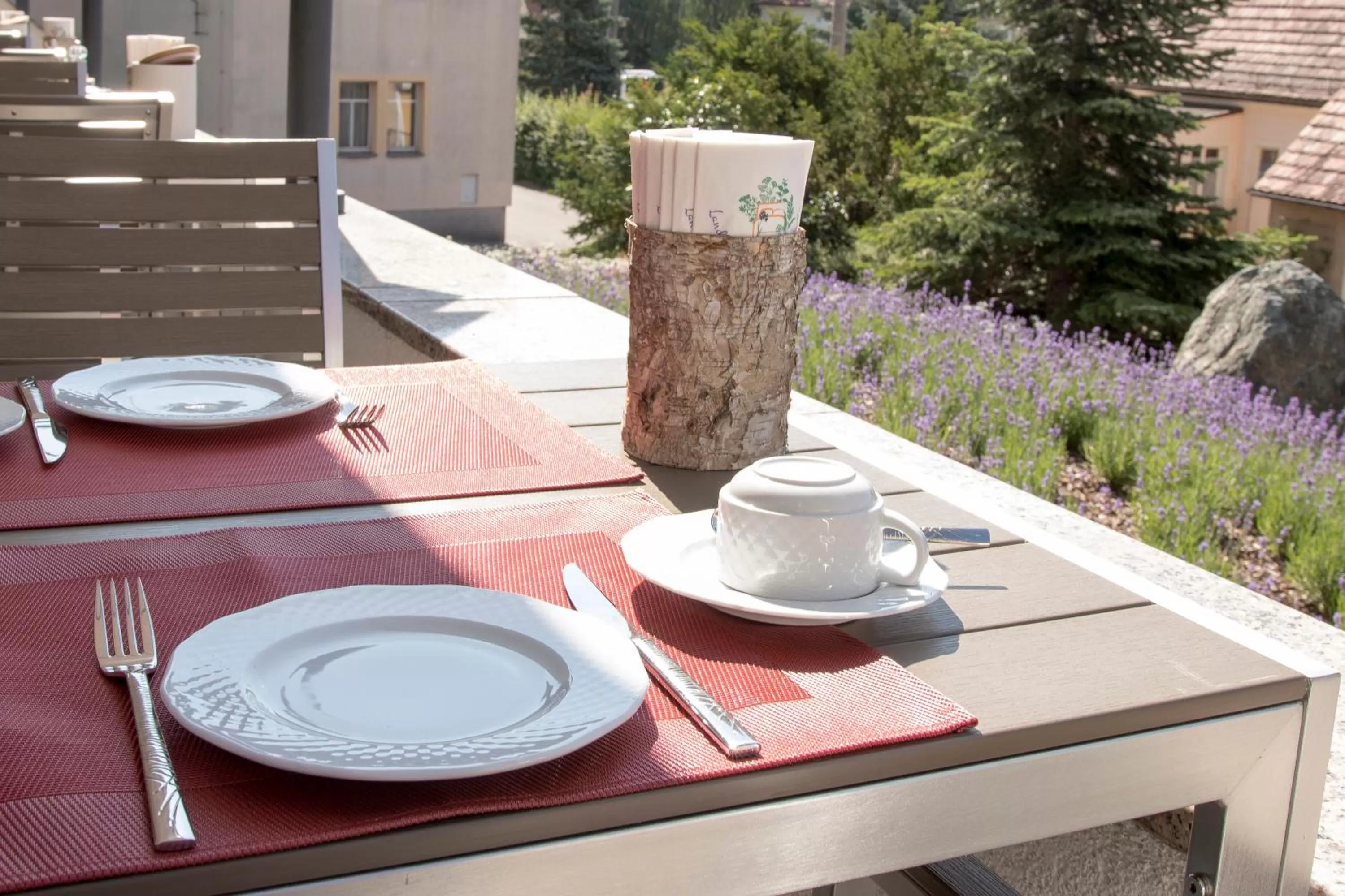 Balcony/Terrace in Pilgrims Inn Kreischa