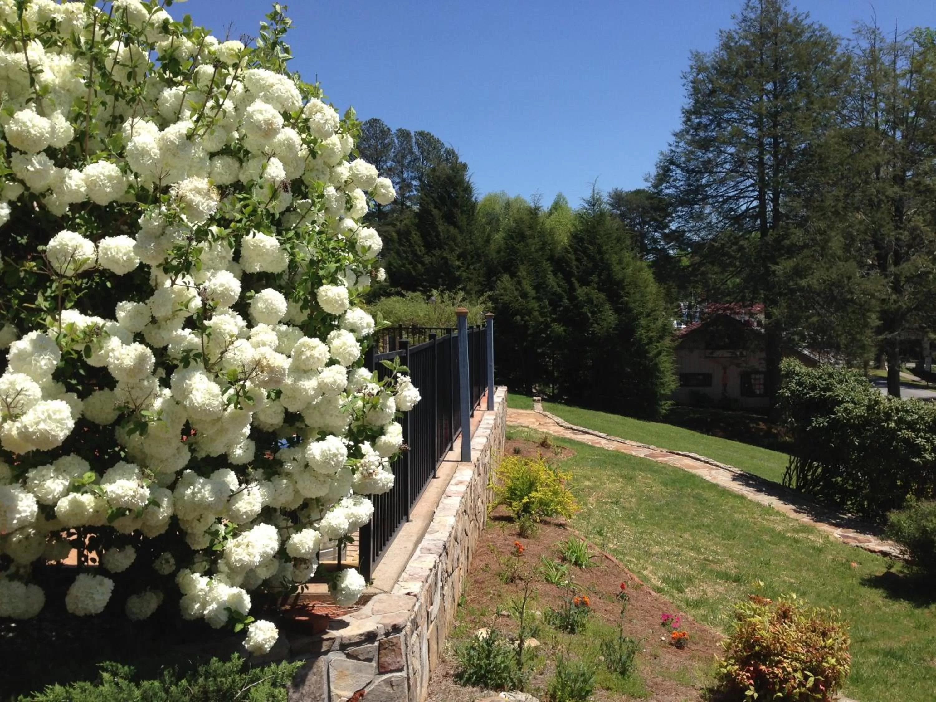 Area and facilities in Heidi Motel - Helen