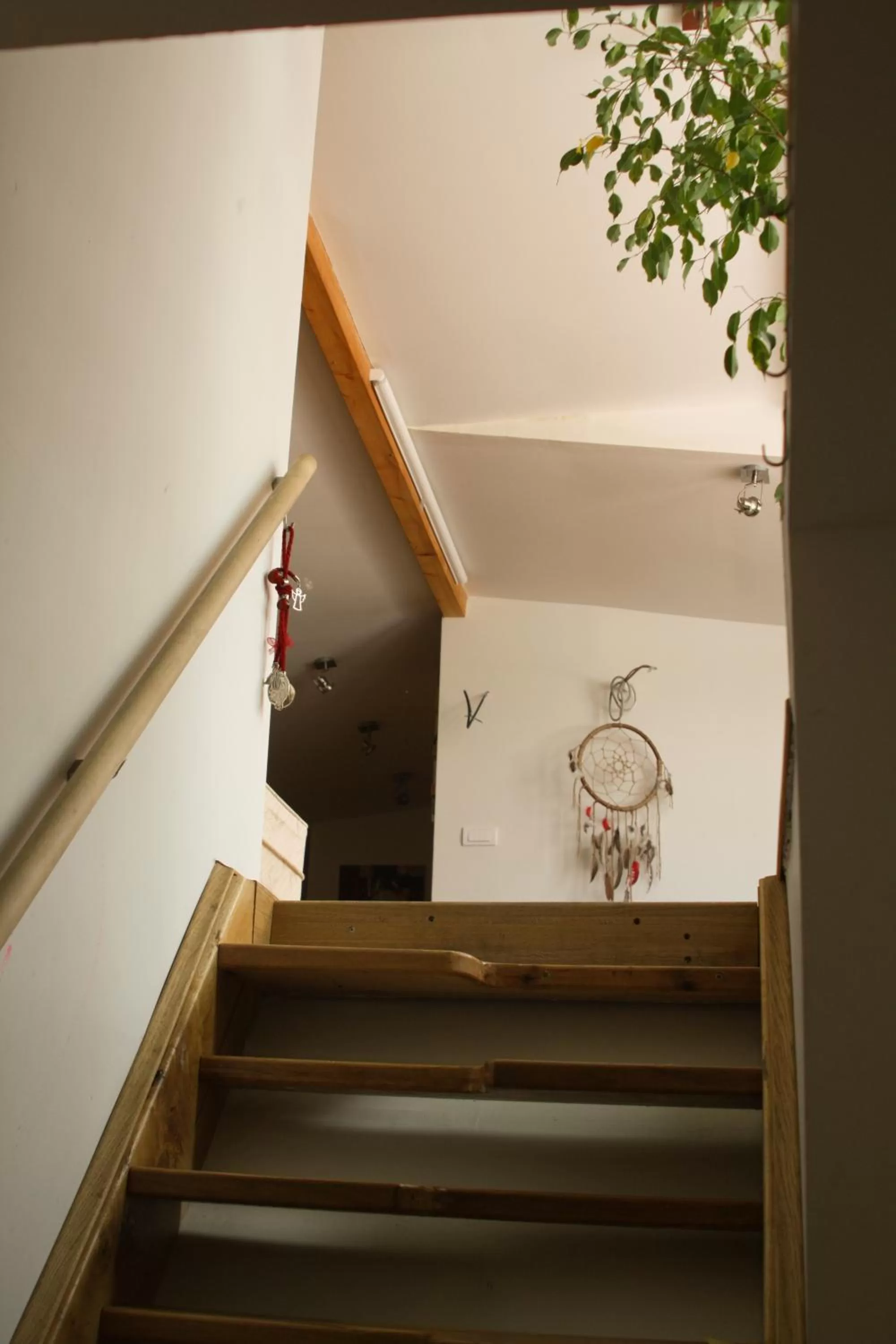 Patio in ArkaBarka 2- Floating Dream Rooms and Apartments