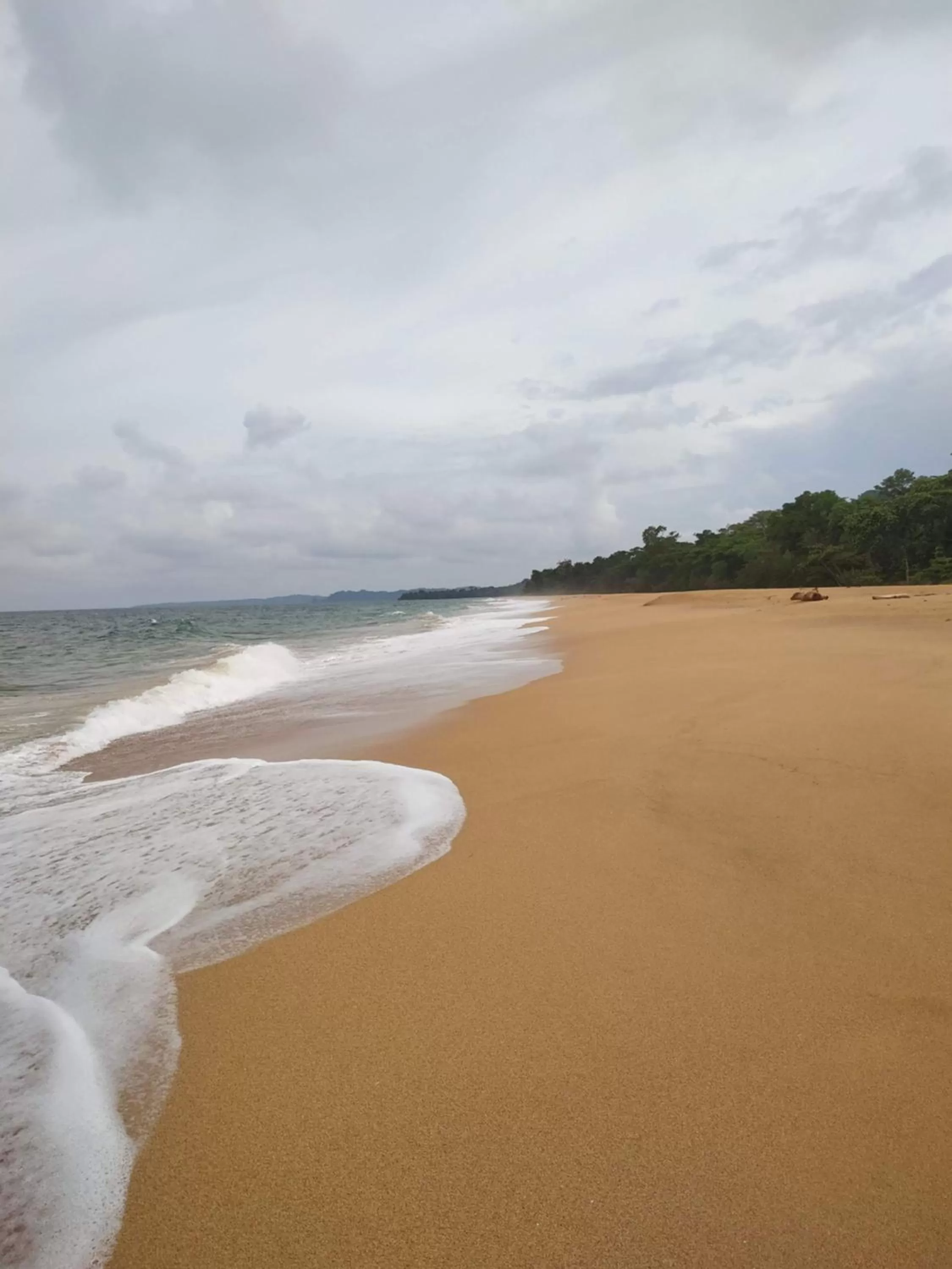 Beach in La Luciernaga Big Creek