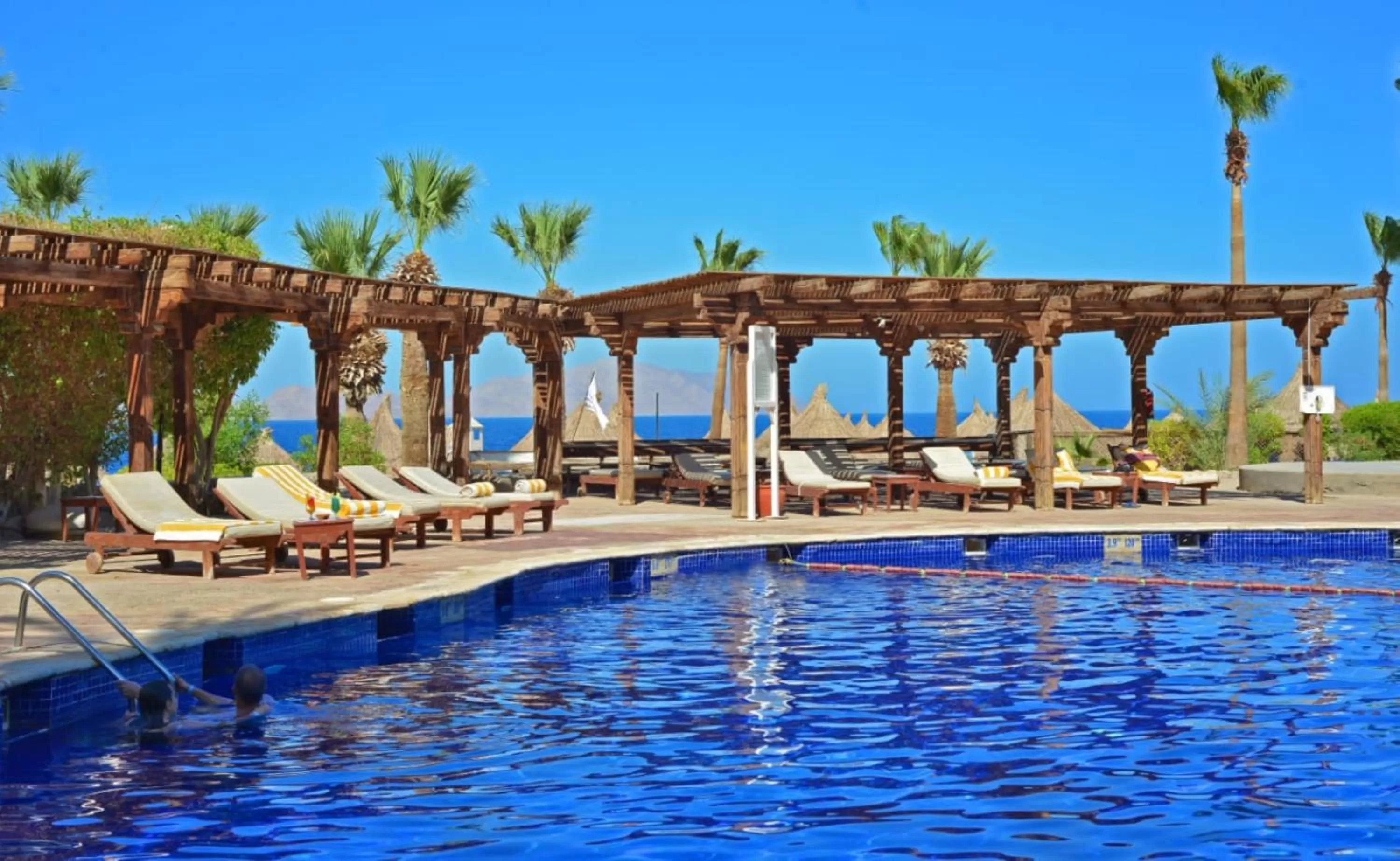 Diving in Sheraton Sharm Hotel, Resort, Villas & Spa