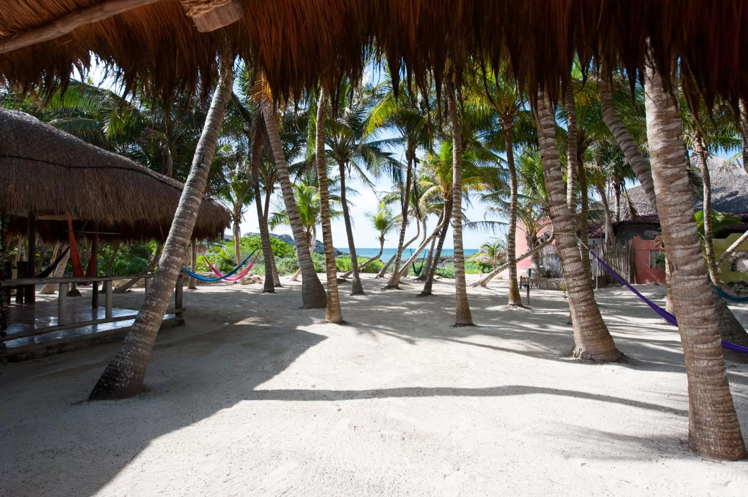 Sea view in Zamas Hotel