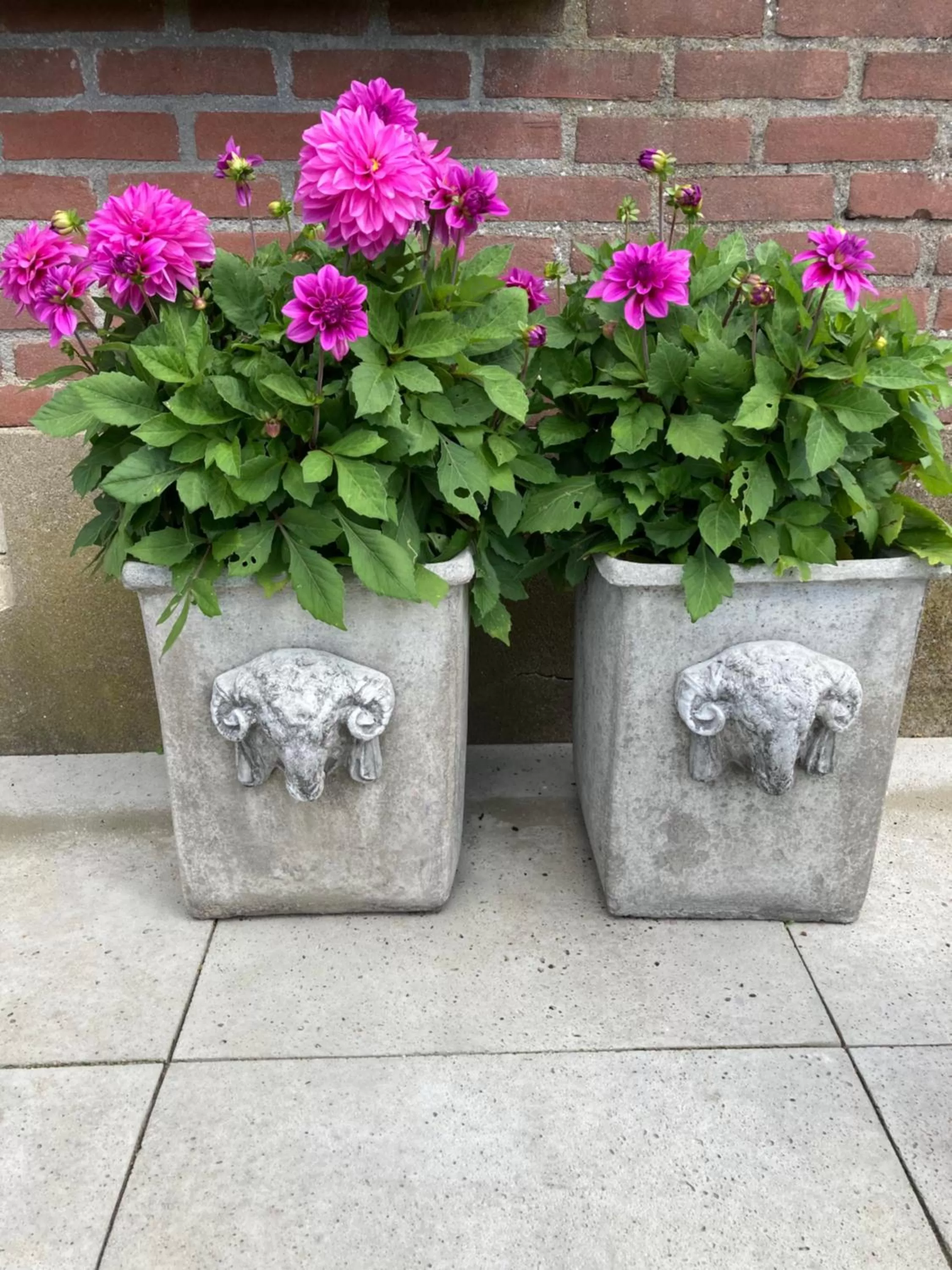 Bed & Breakfast Hoeve Happiness