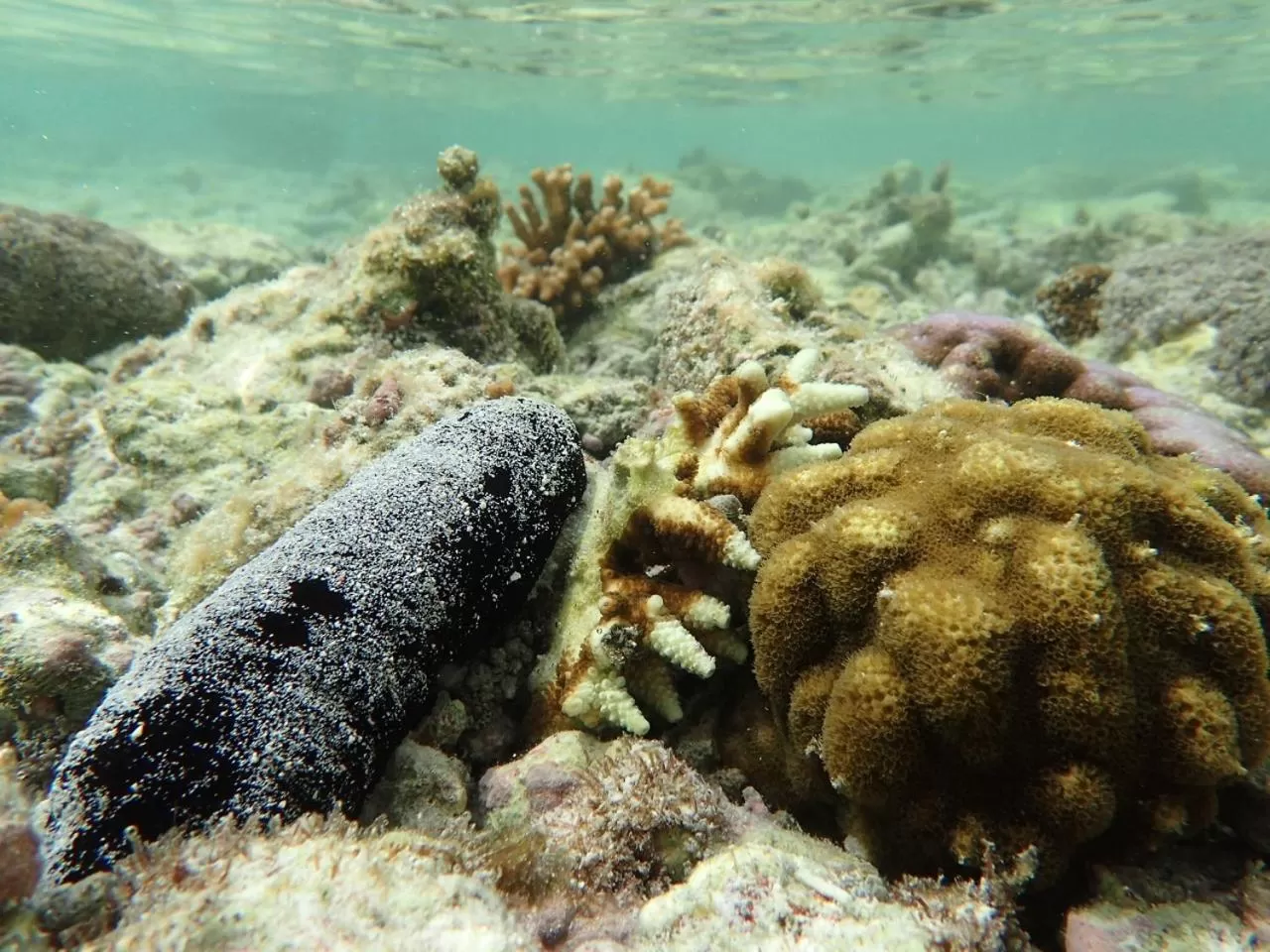 Natural landscape in Torquay Terrace Bed & Breakfast