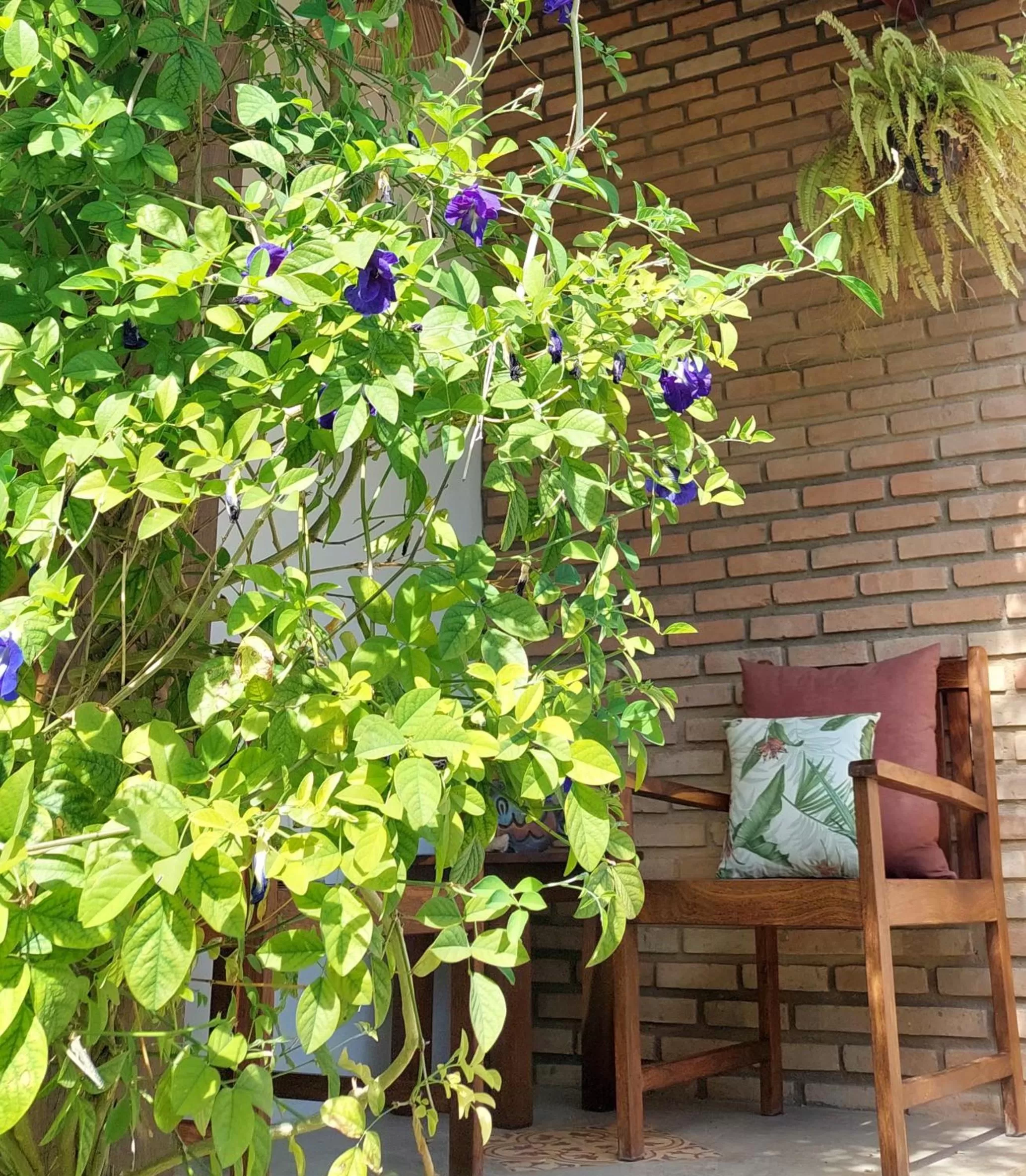 Day in Arataba Hotel Boutique e Bistrô - 150 mts do mar