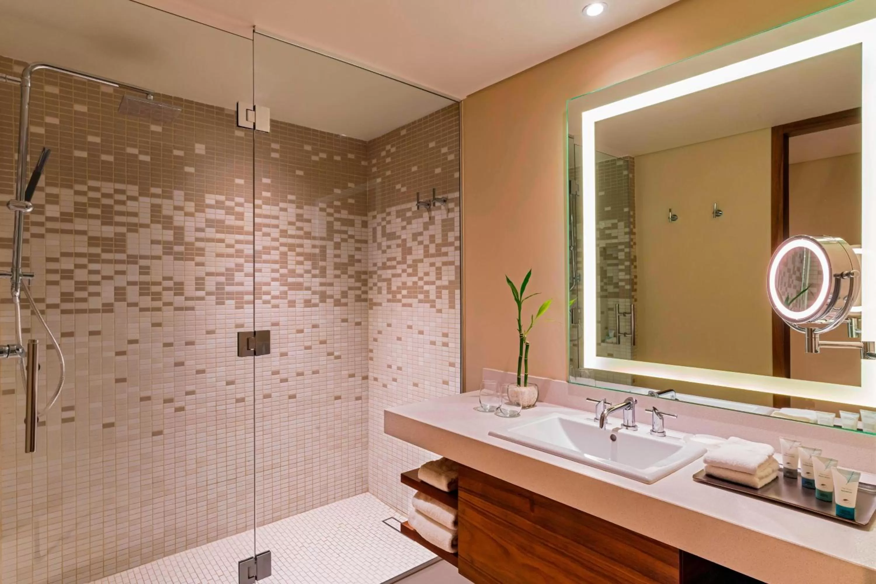 Bathroom in The Westin Cozumel