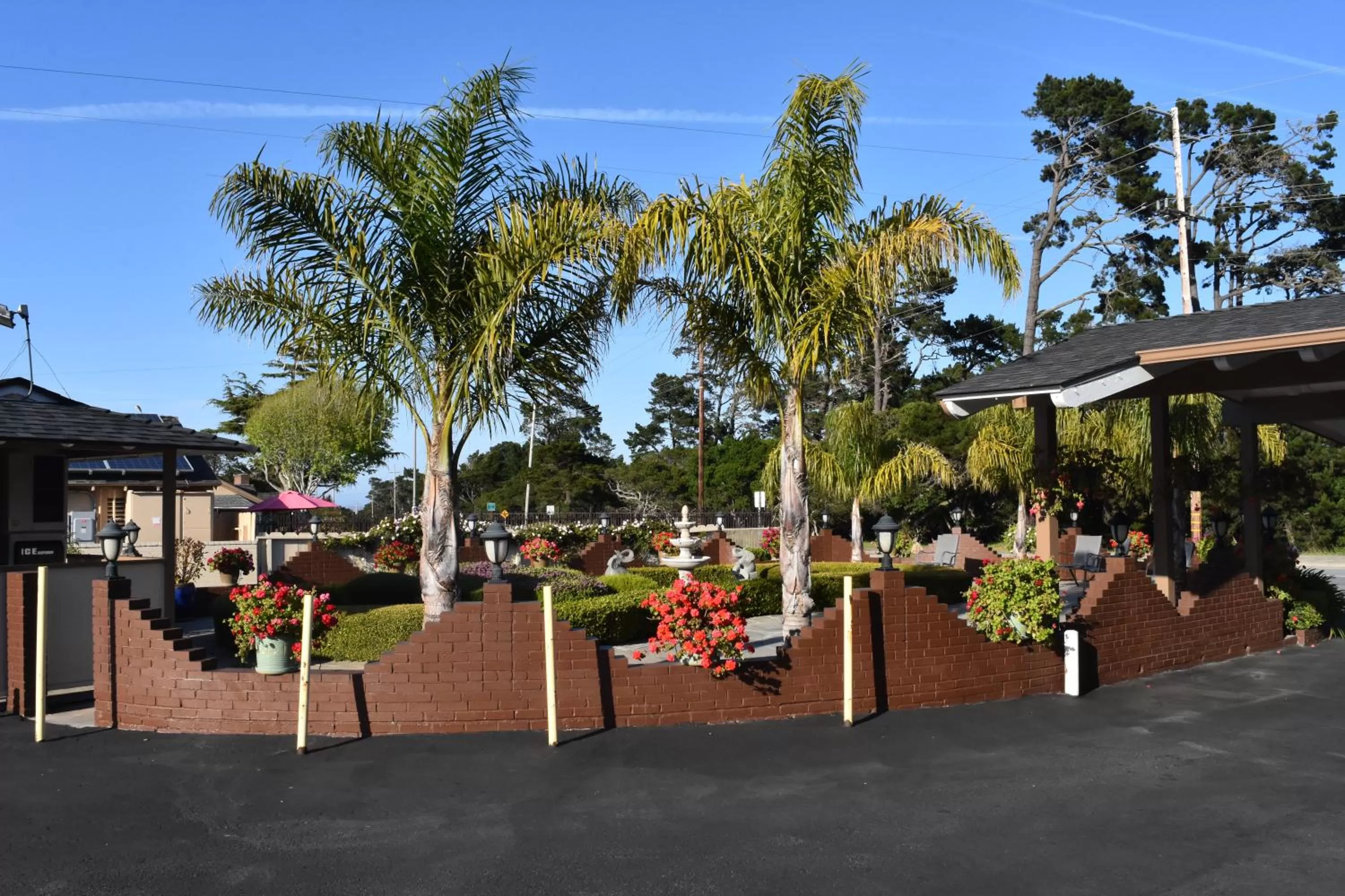 Garden in Padre Oaks