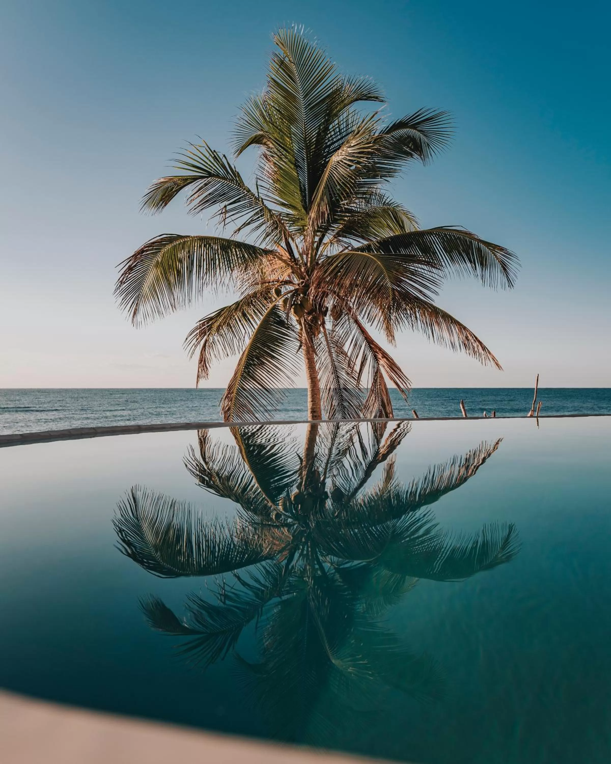 Pool view in Papaya Playa Project, Tulum, a Member of Design Hotels