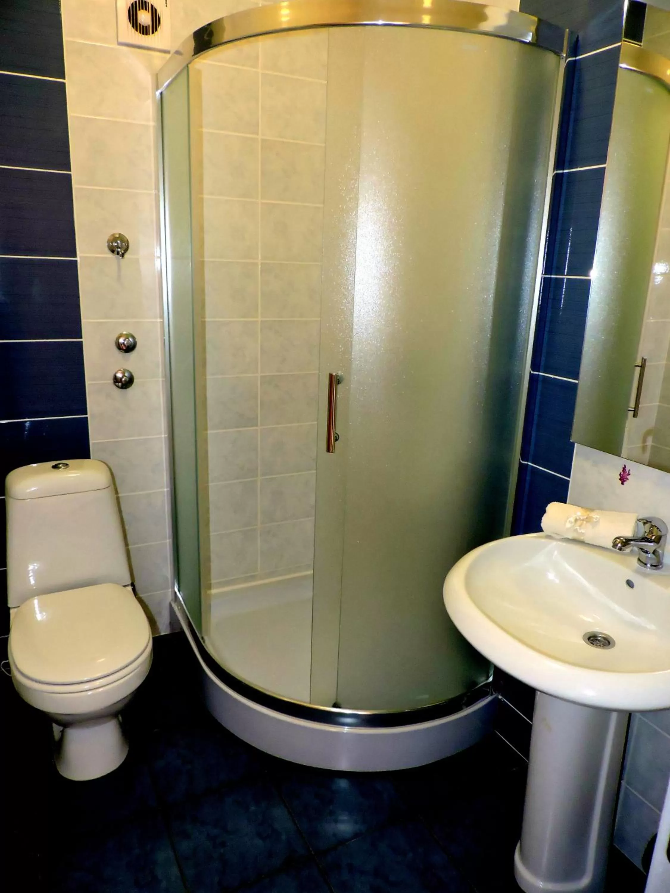 Shower, Bathroom in B&B Zmajevo Gnezdo 021