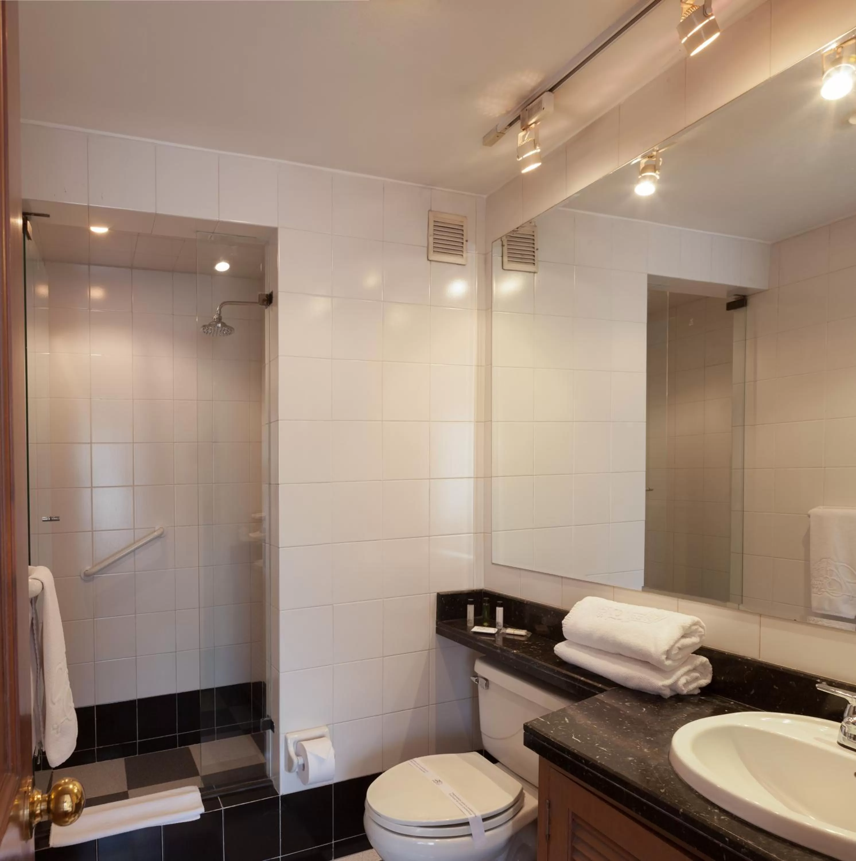 Shower in Cora 96 Street Apartments