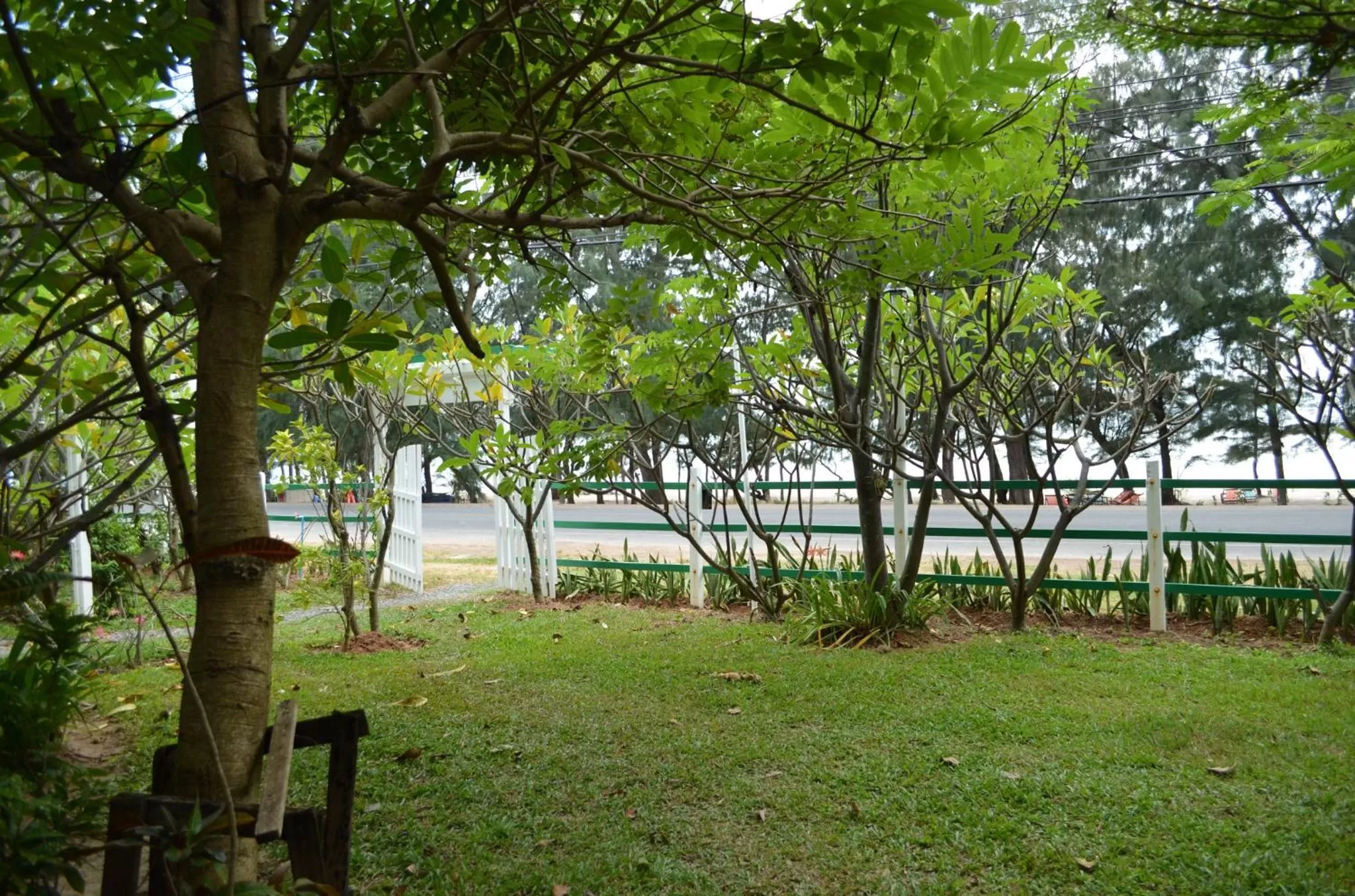 Day in Makmai Villa - Rayong