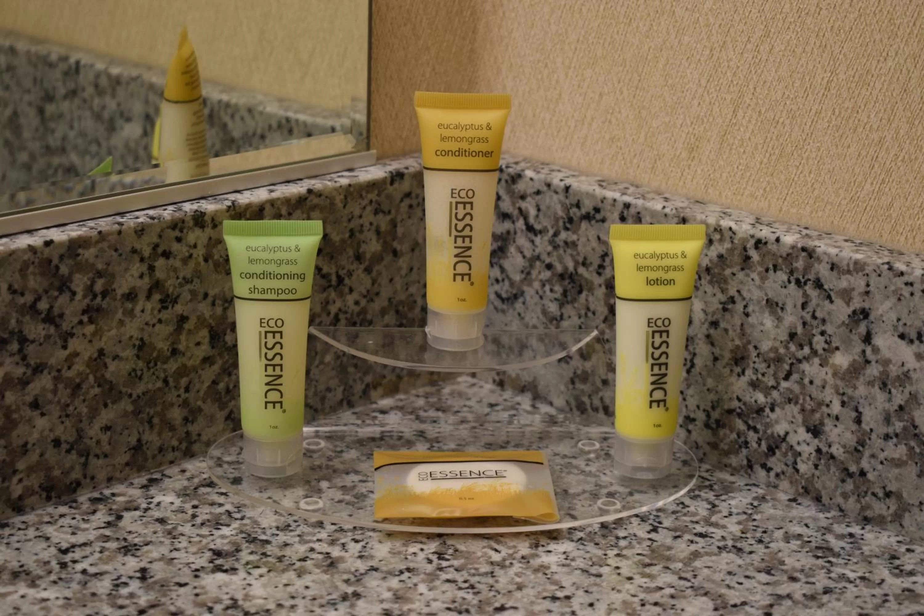 Bathroom in Inn at the Convention Center