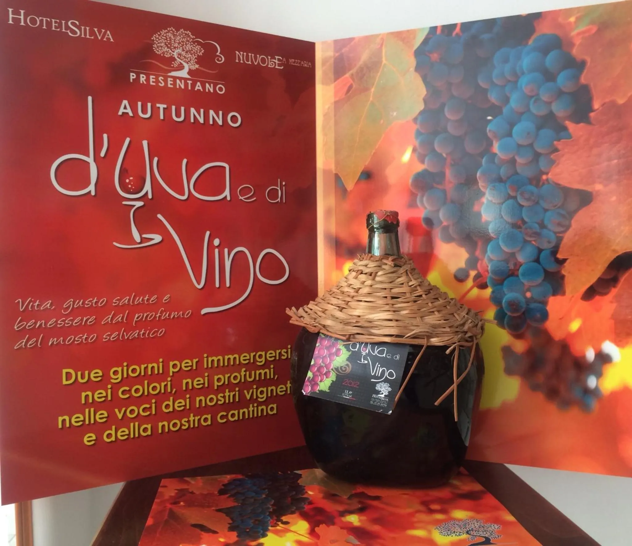 Hiking in Hotel Silva