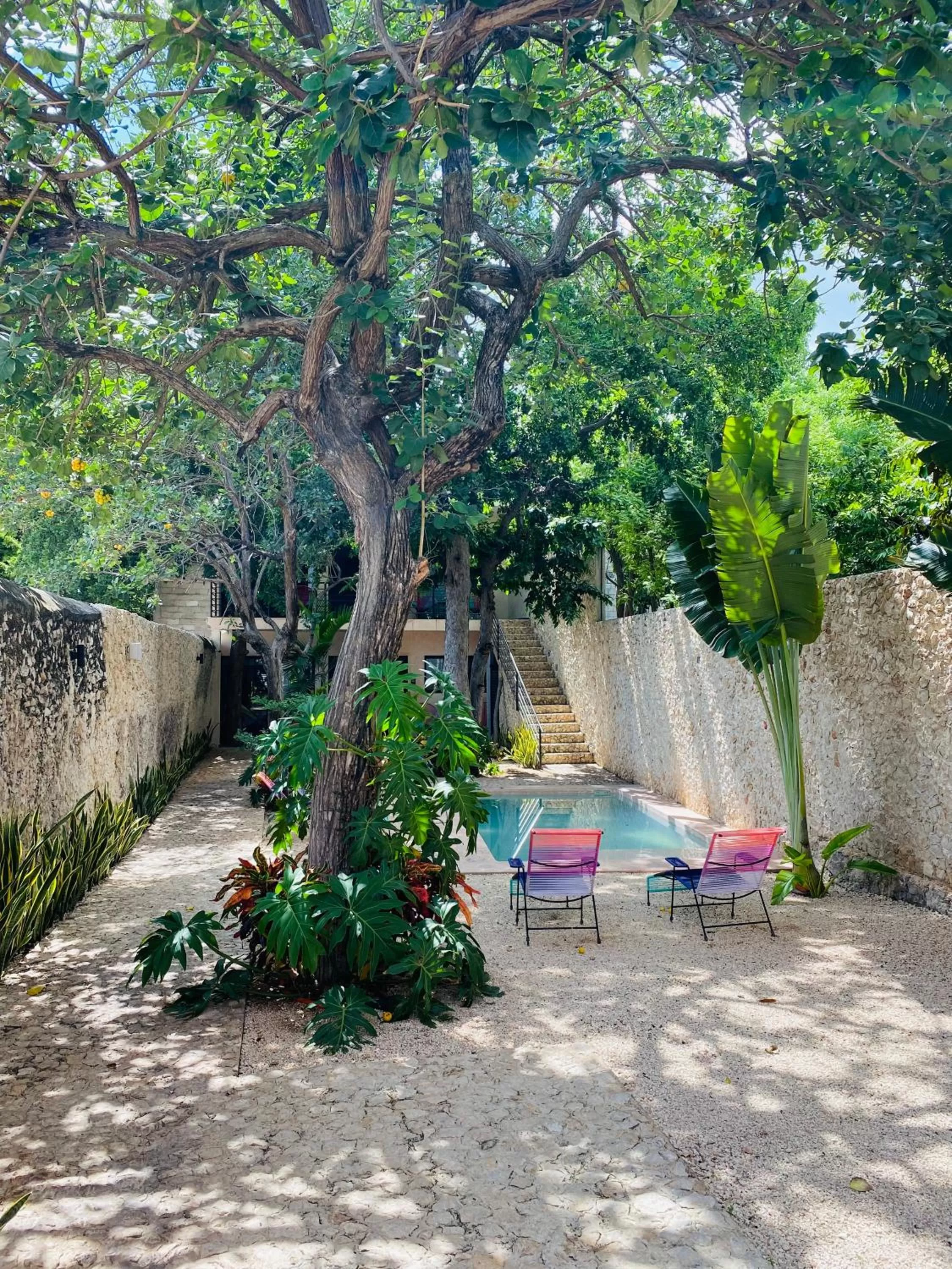 Day in Hotelito YUM KAAX