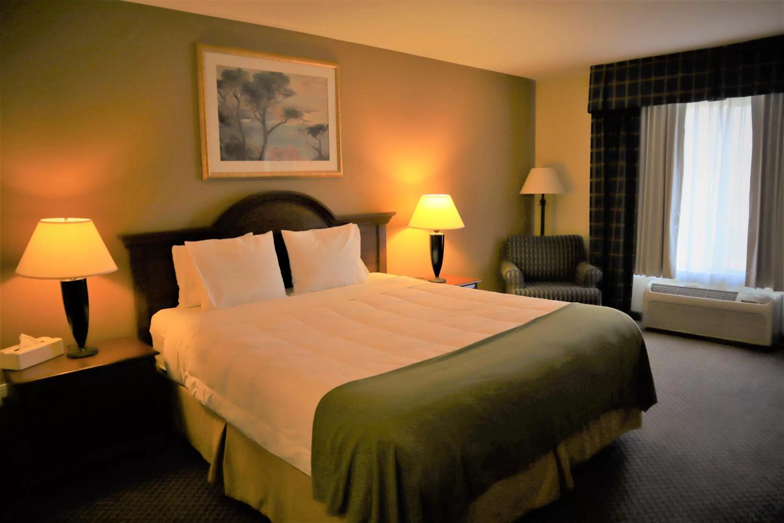 Bed in Oasis Inn & Suites 29 Palms Hotel Joshua Tree National Park