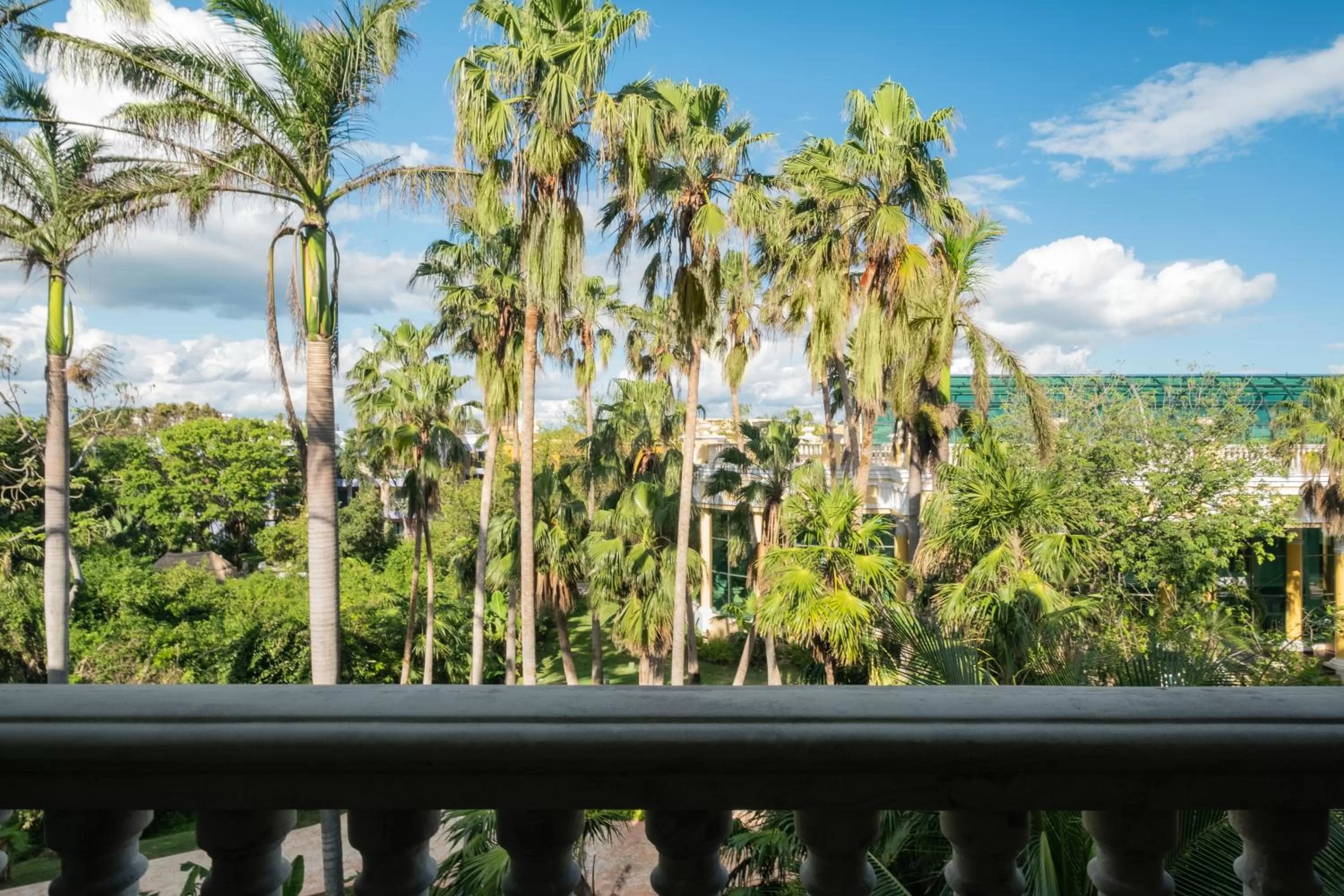 Suite Superior (2 adults) in Iberostar Grand Paraíso