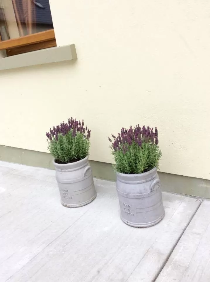 Property building in Holland House F94DP26