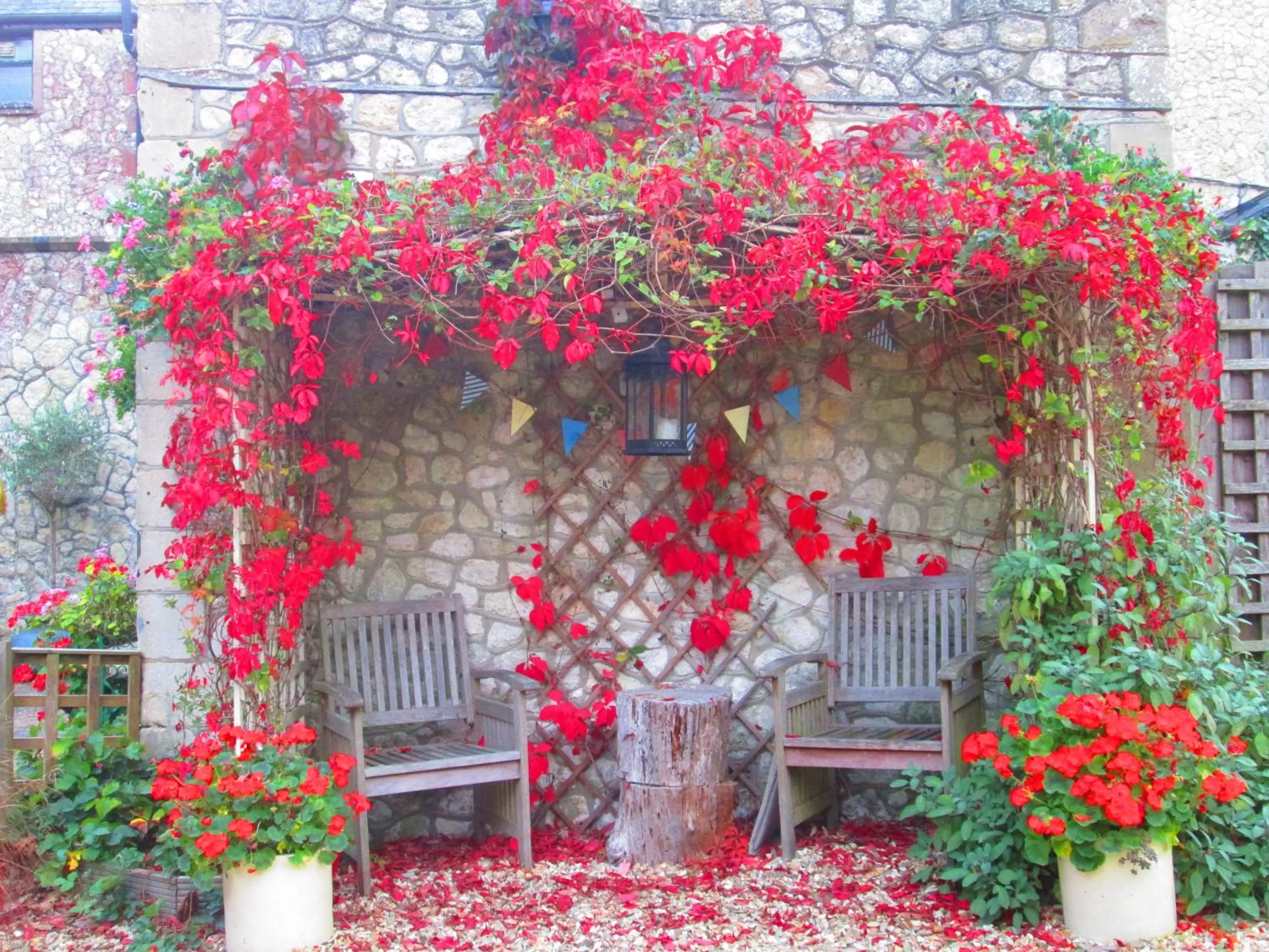 Garden in Weston Manor