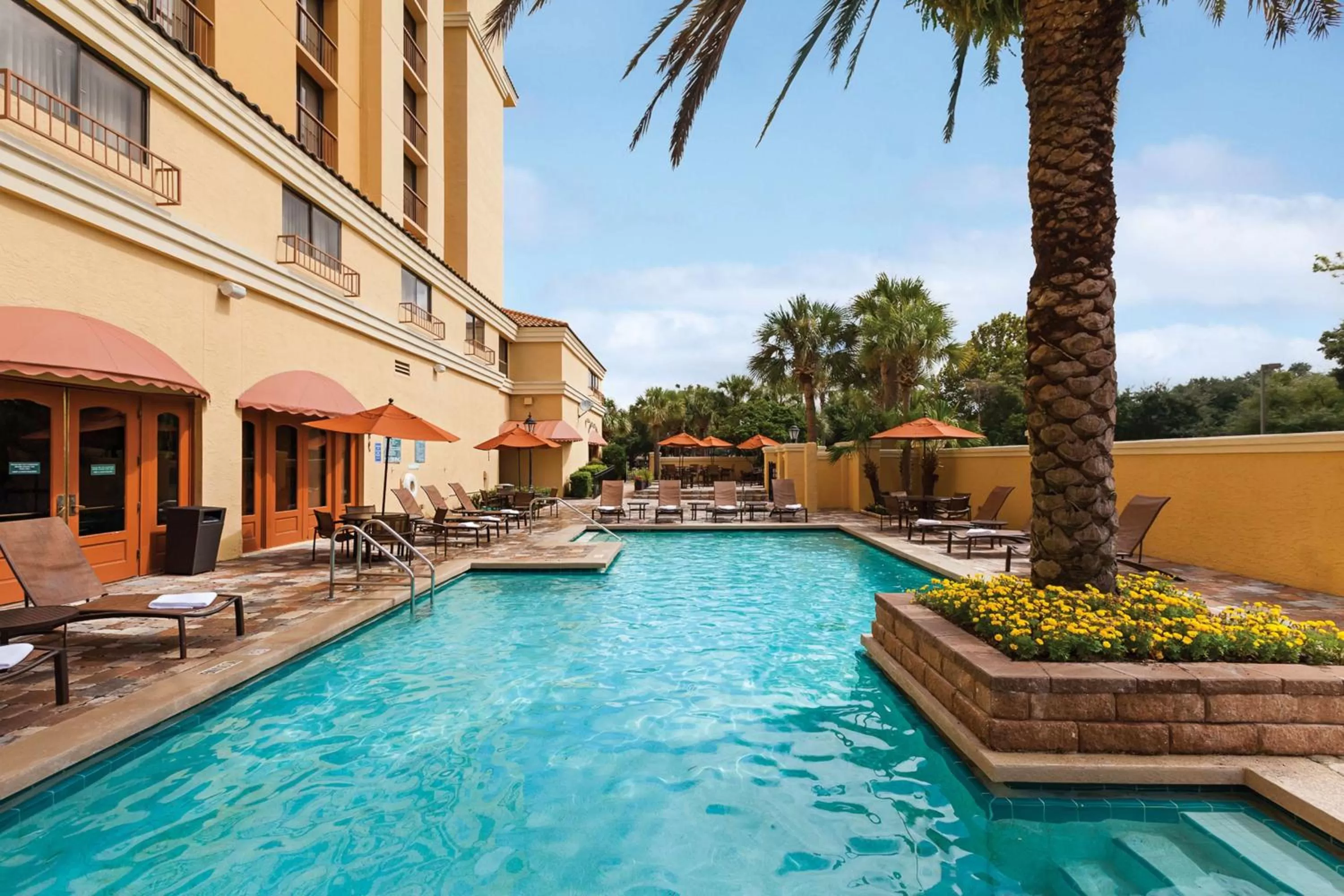 Pool view in Embassy Suites by Hilton Orlando International Drive Convention Center