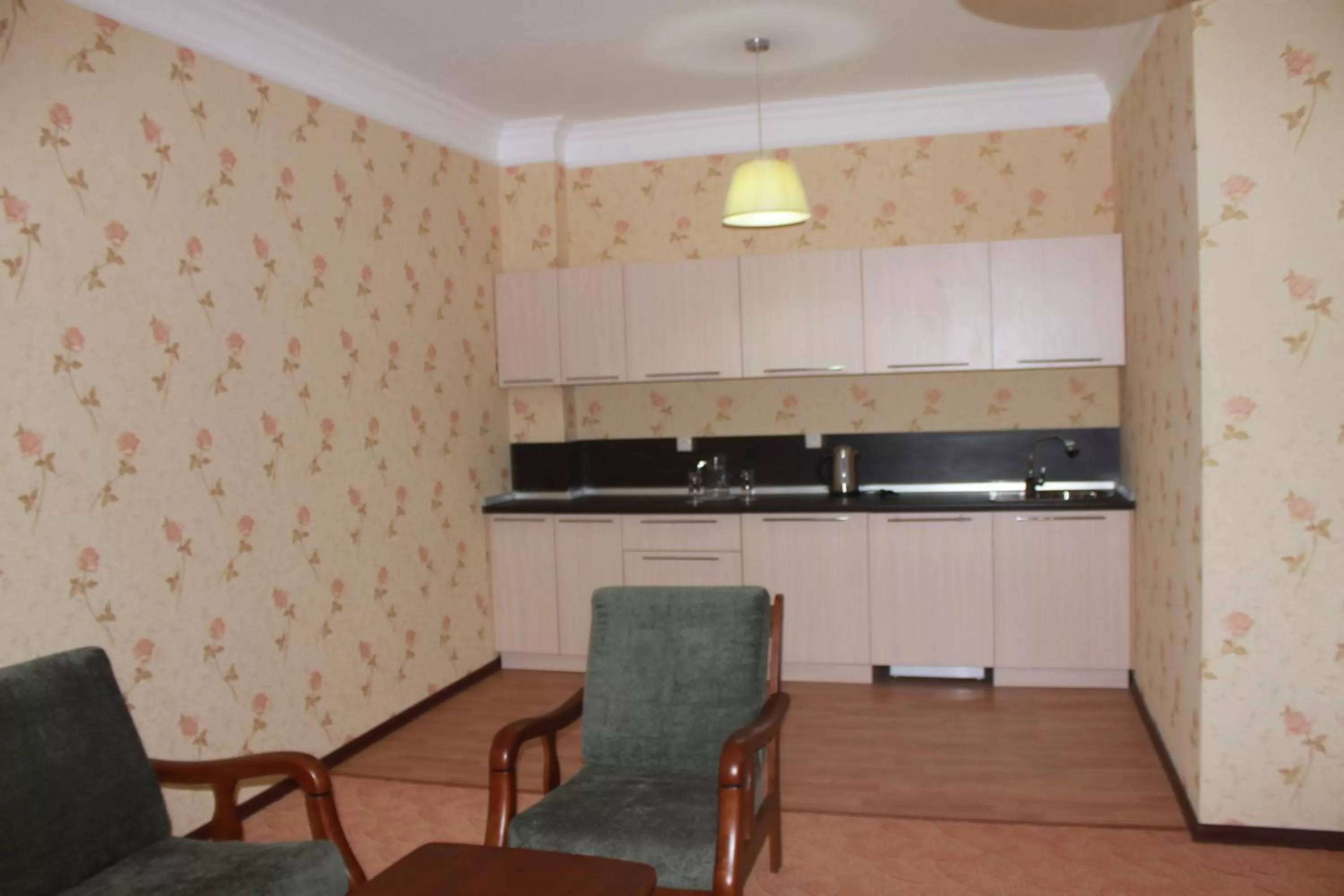 Living room, Kitchen/Kitchenette in Hotel Laeti-Zhaiyk