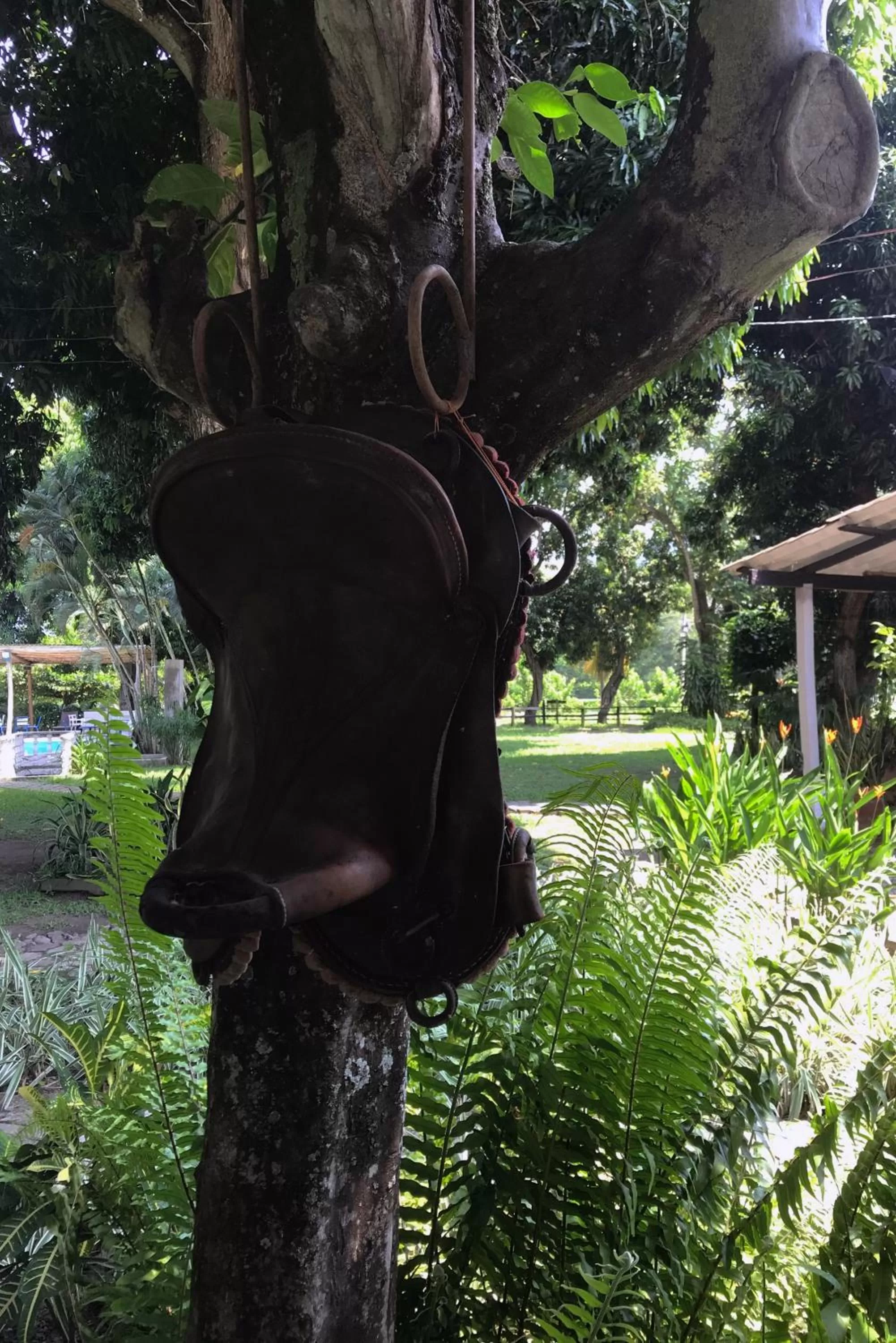 Natural landscape in Waka Hotel Rural