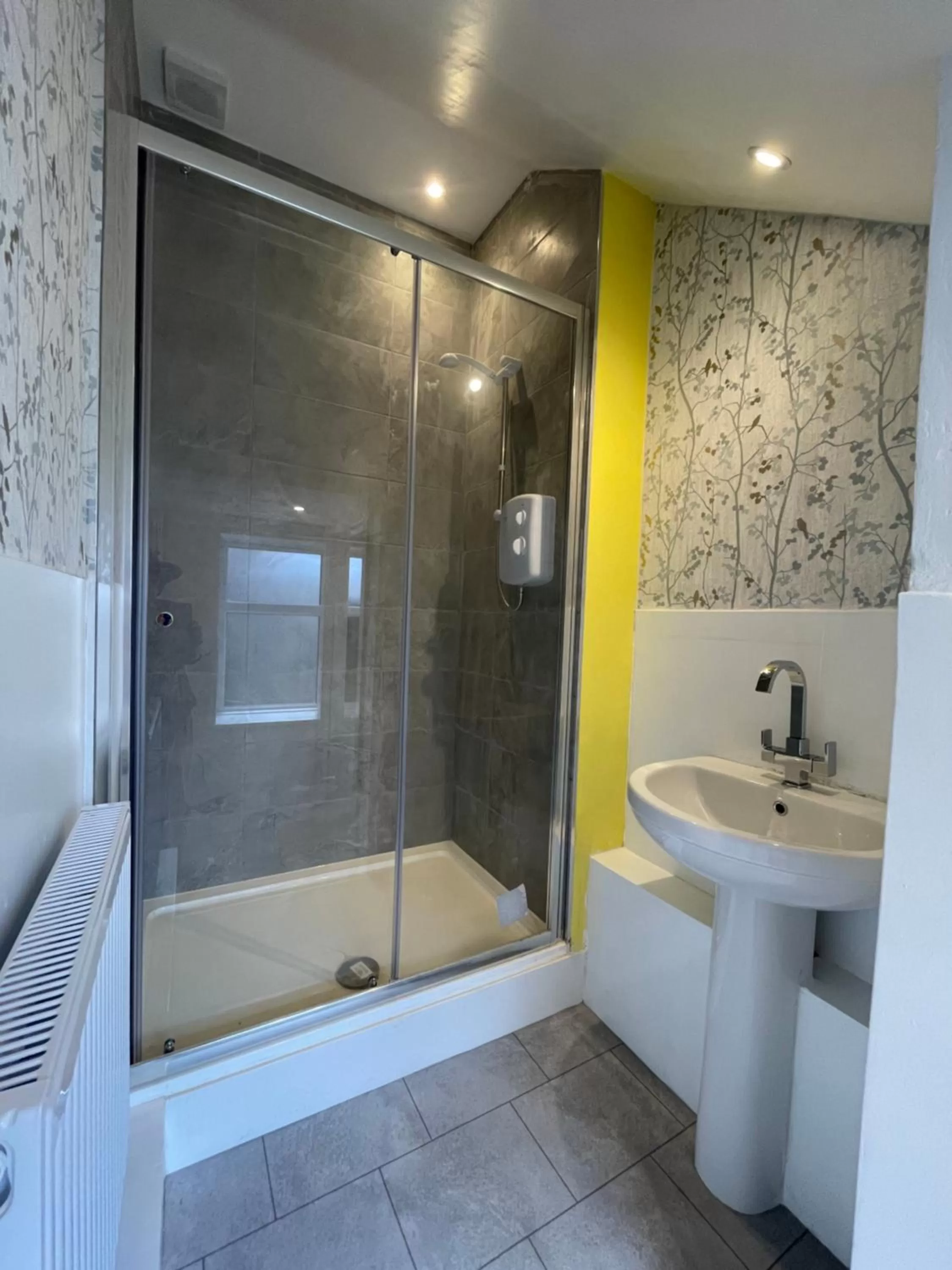 Shower in Albion Boutique Guest House