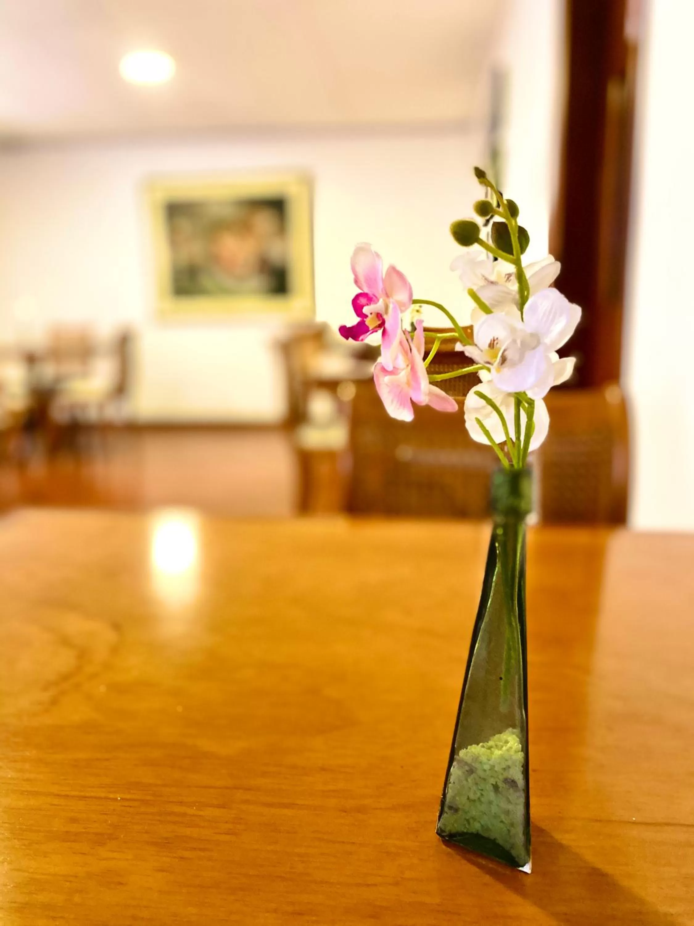 Dining area in Hotel Maceo Chico