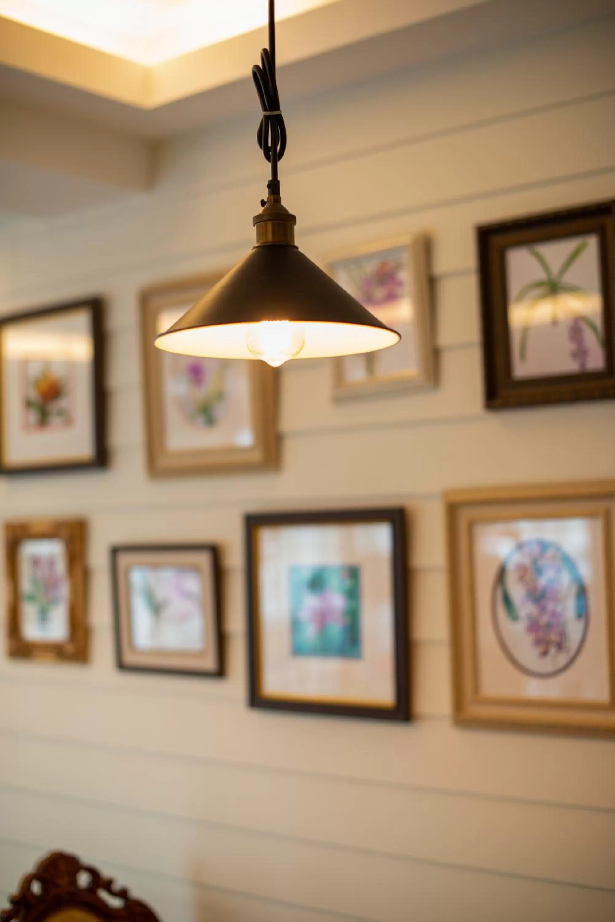 Restaurant/places to eat in The Orchid House 153