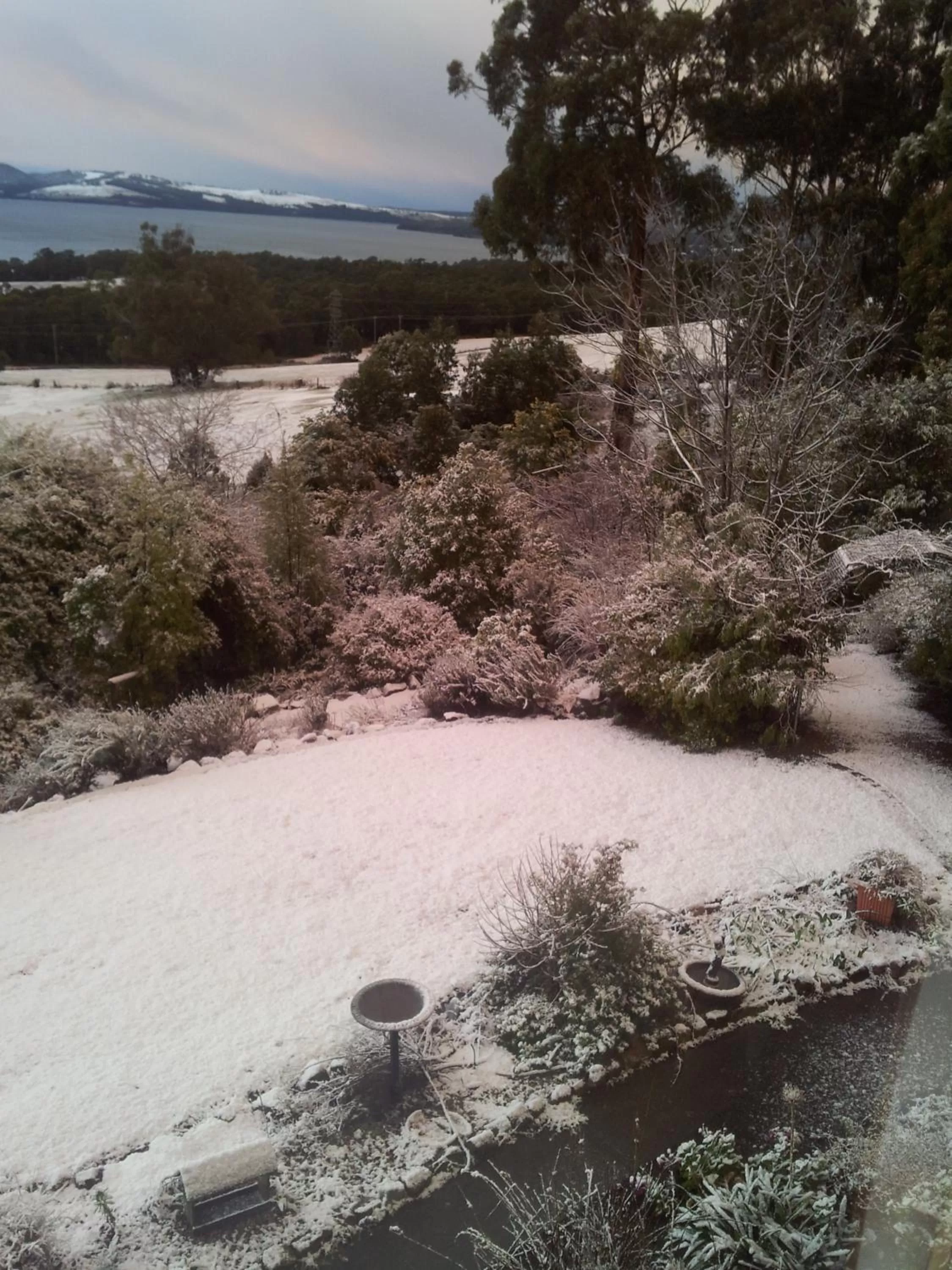 Winter in Waterview Gardens B&B