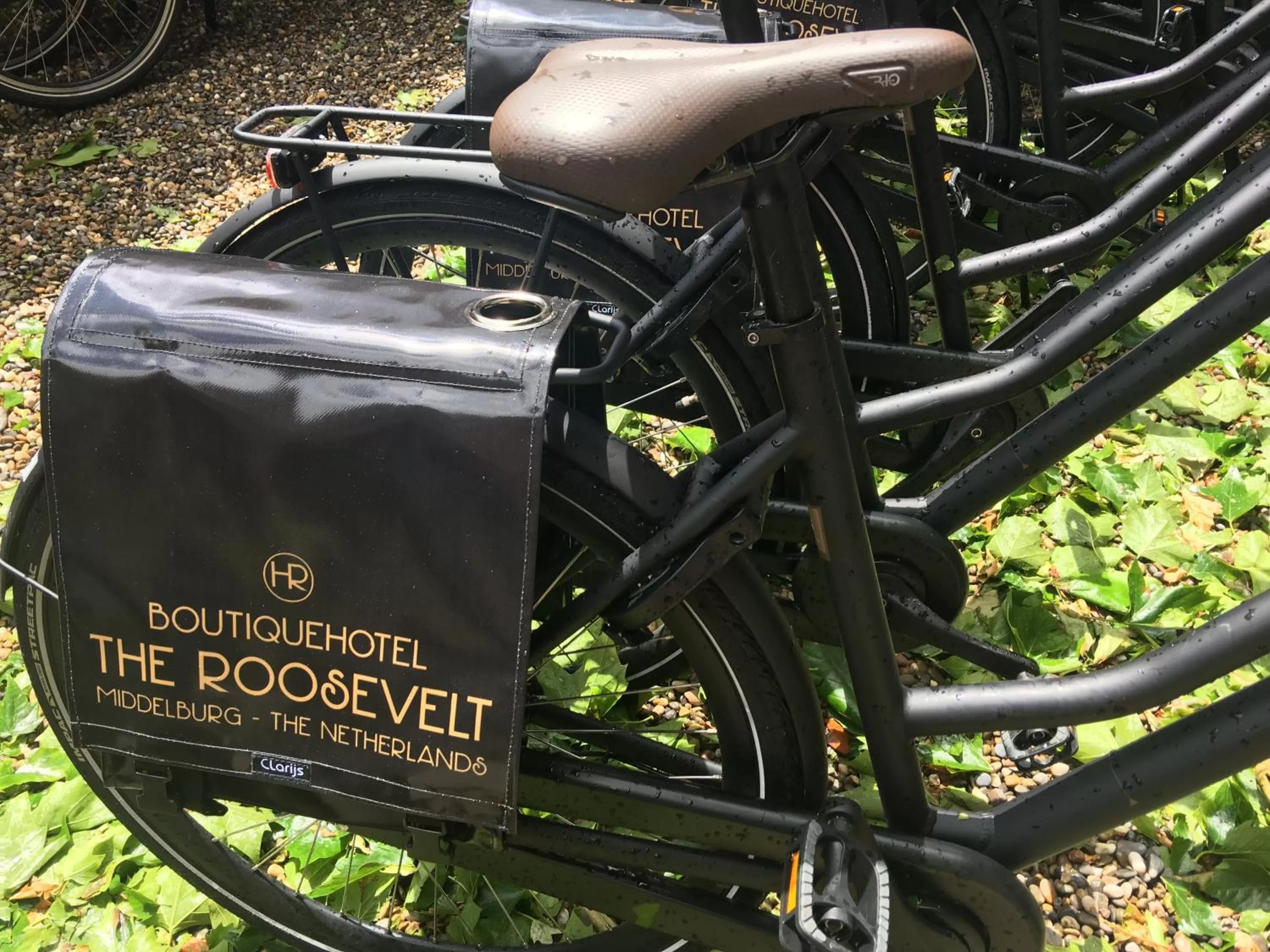 Property logo or sign in Boutique Hotel The Roosevelt