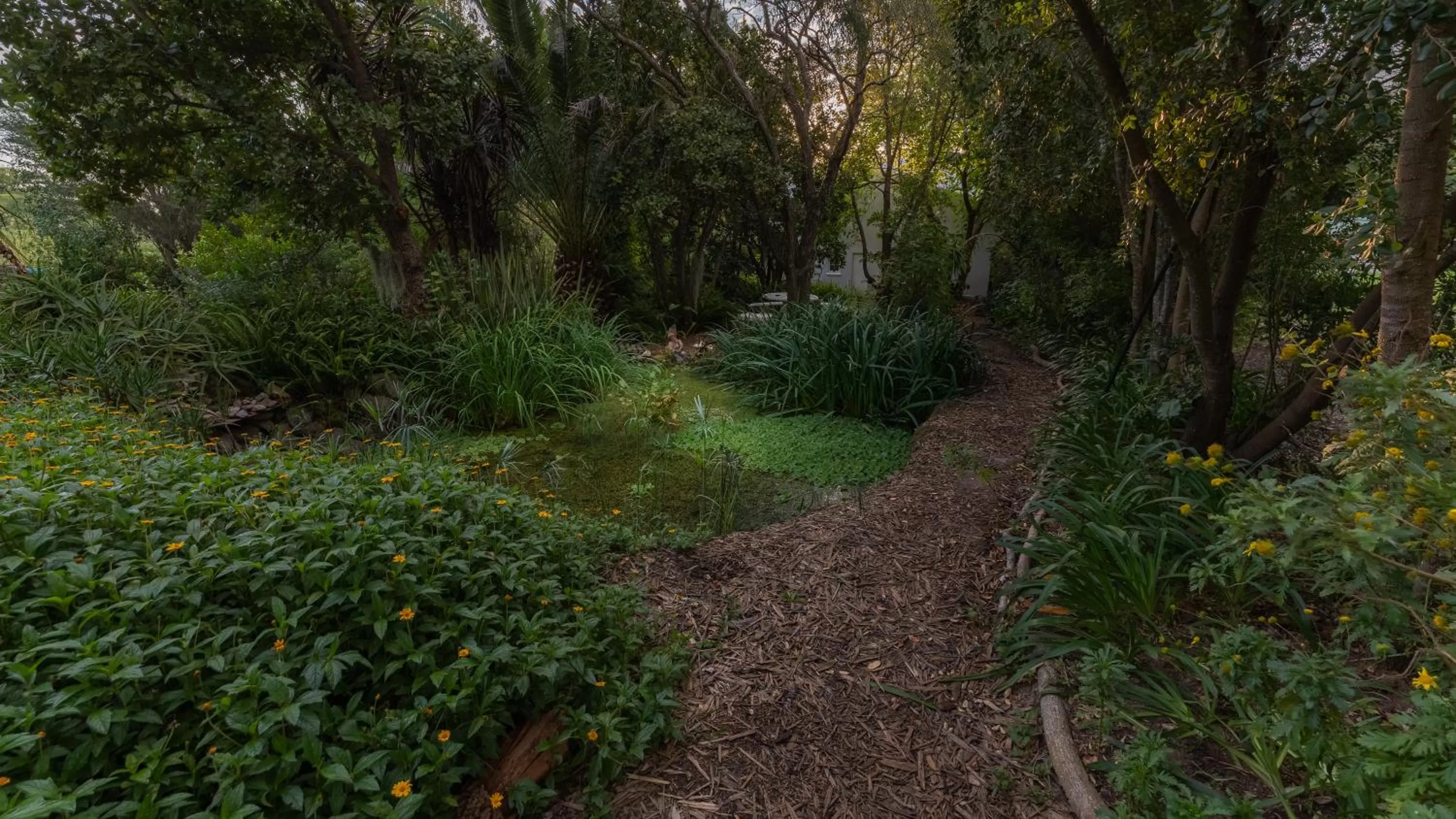 Garden in Aquaelberg Place