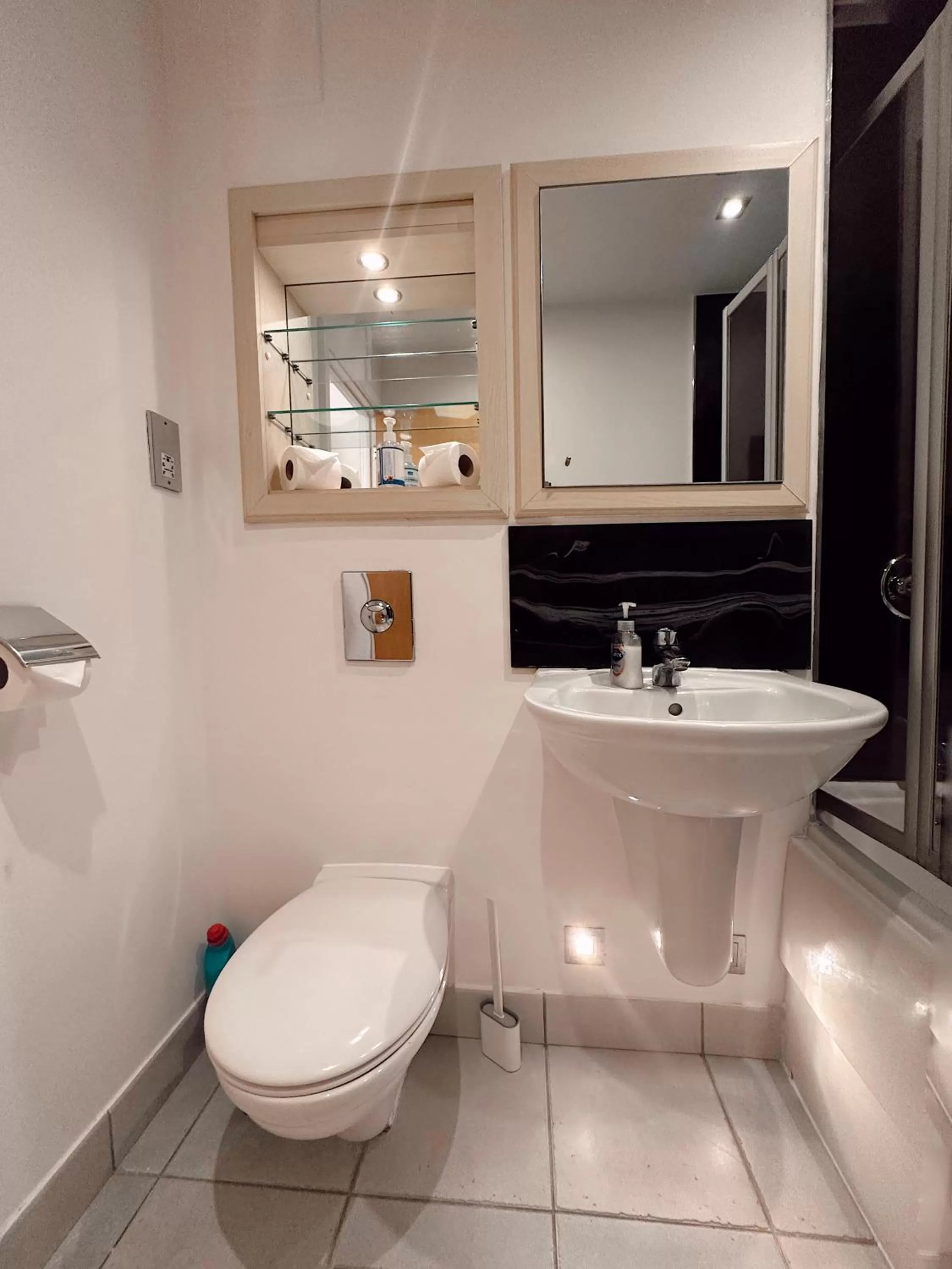 Toilet in Canary Wharf - Luxury Apartments