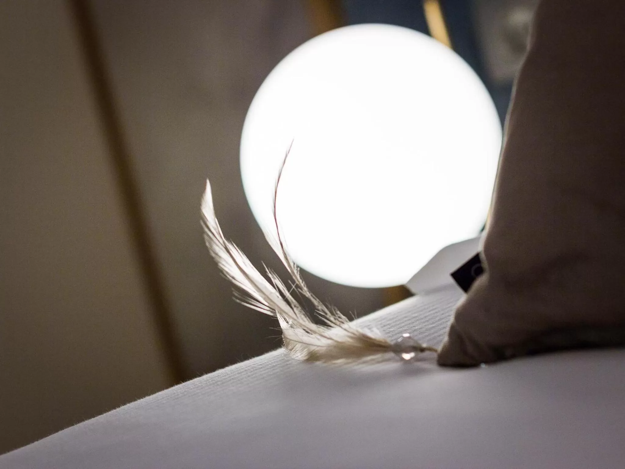 Decorative detail, Bed in Renascentia in Florence - Adults Only