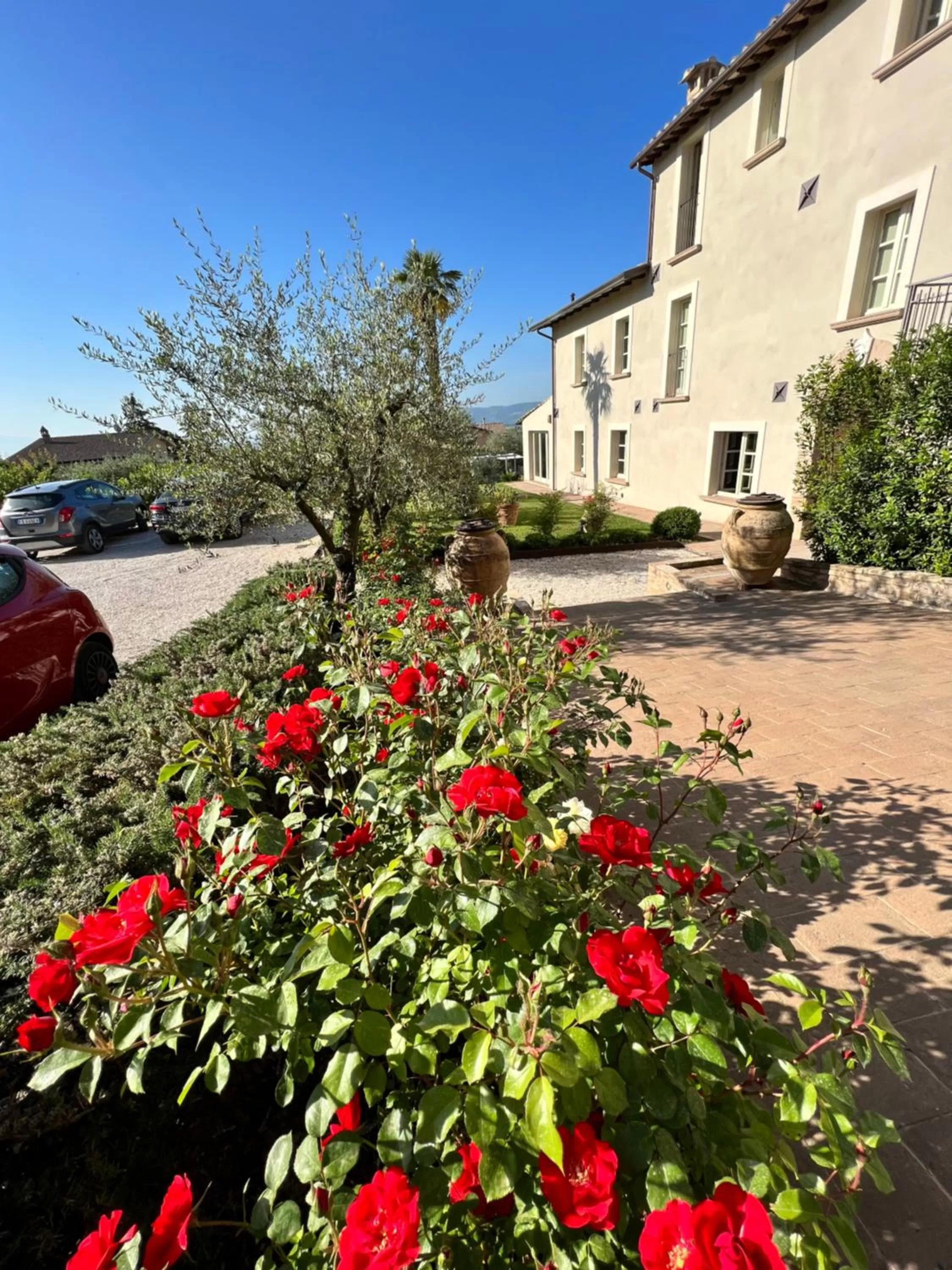 Garden in CorteViva Boutique B&B