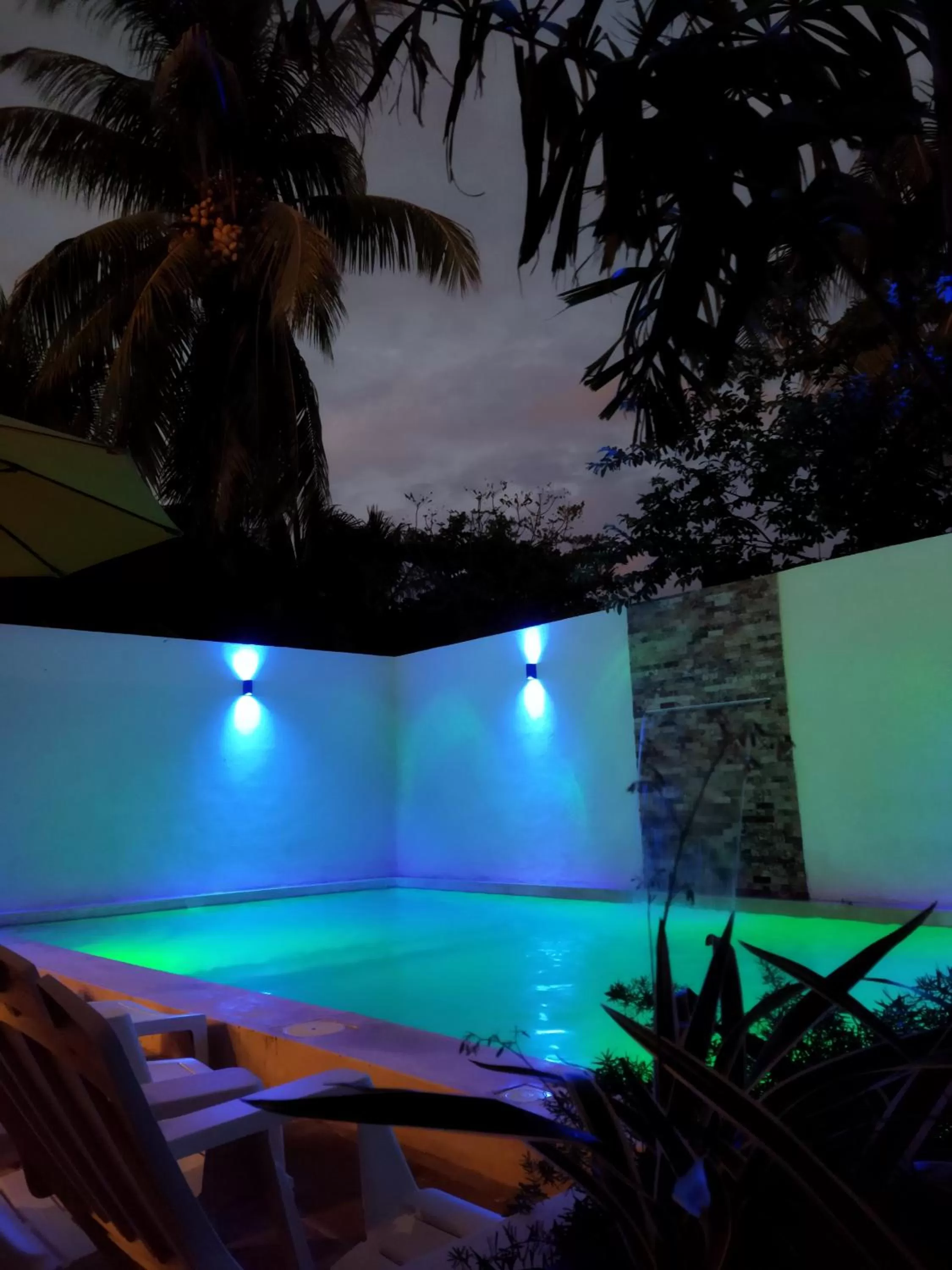 Swimming Pool in Hotel Beach Don Gonzalo