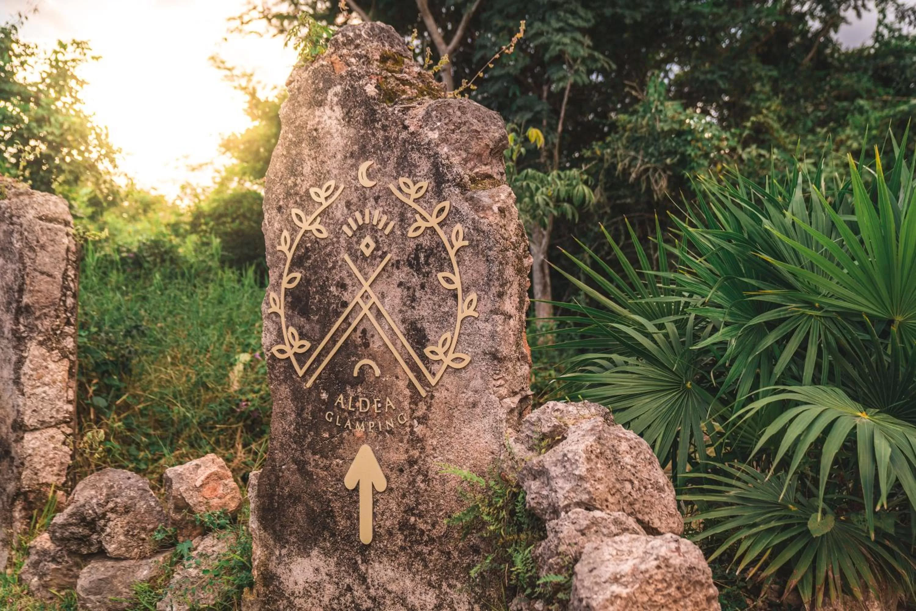 Natural landscape in Destino Mío Mayan Jungle Retreat