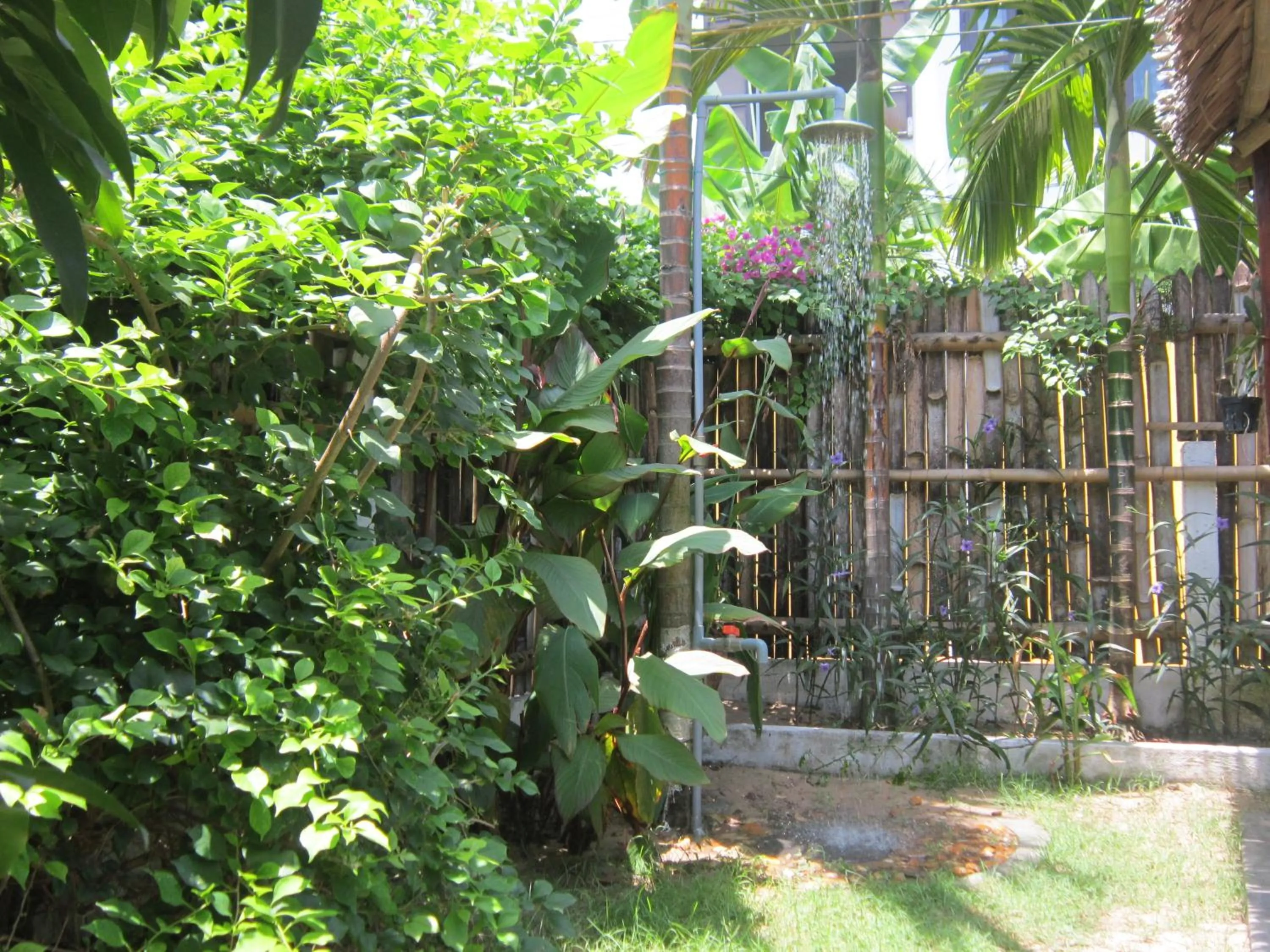 Garden in Local Beach Homestay