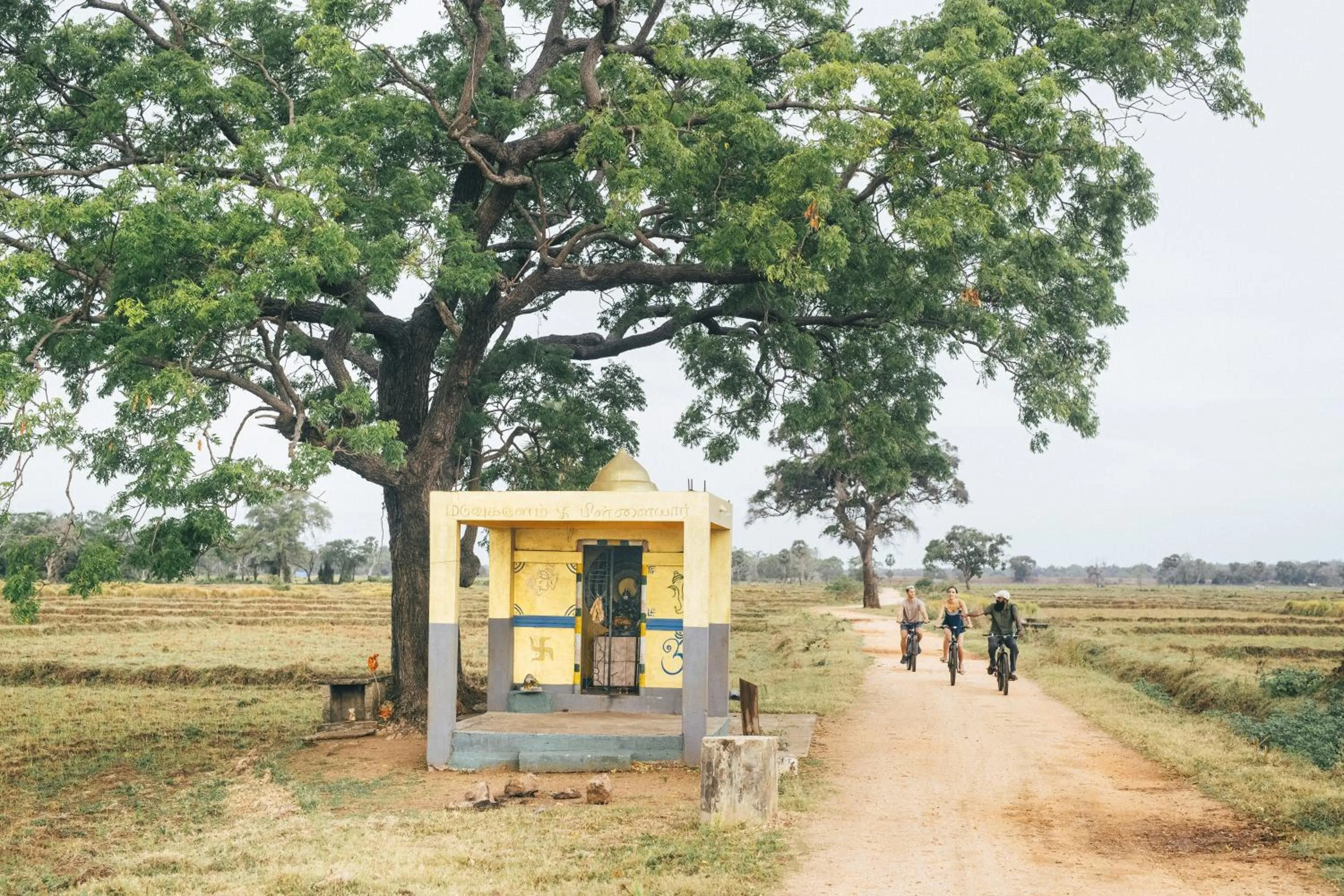 Activities in Uga Jungle Beach - Trincomalee