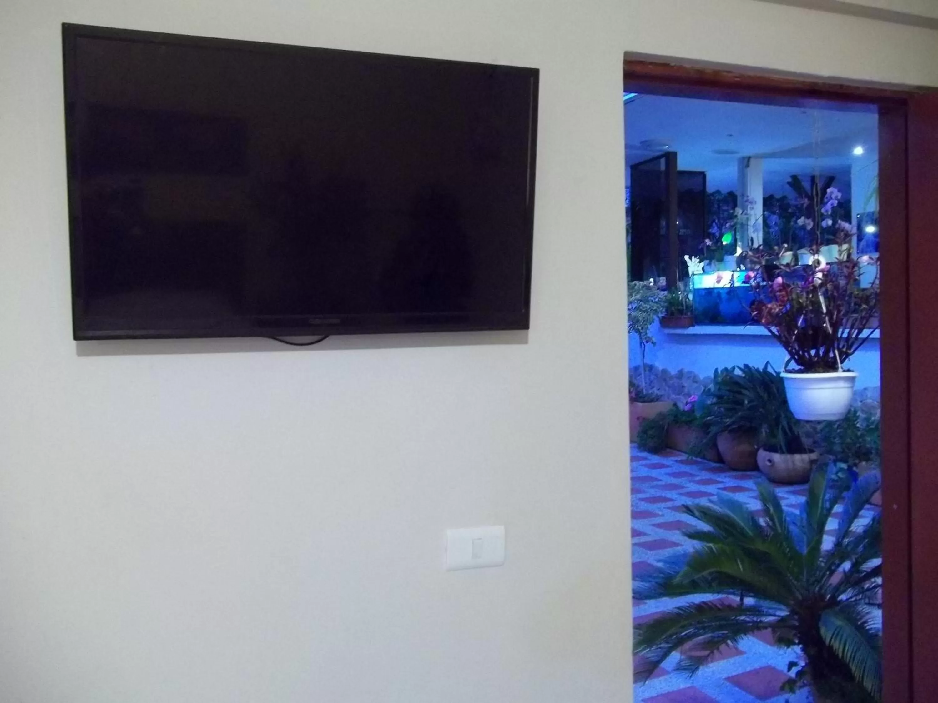 Cabañas Las Bifloras