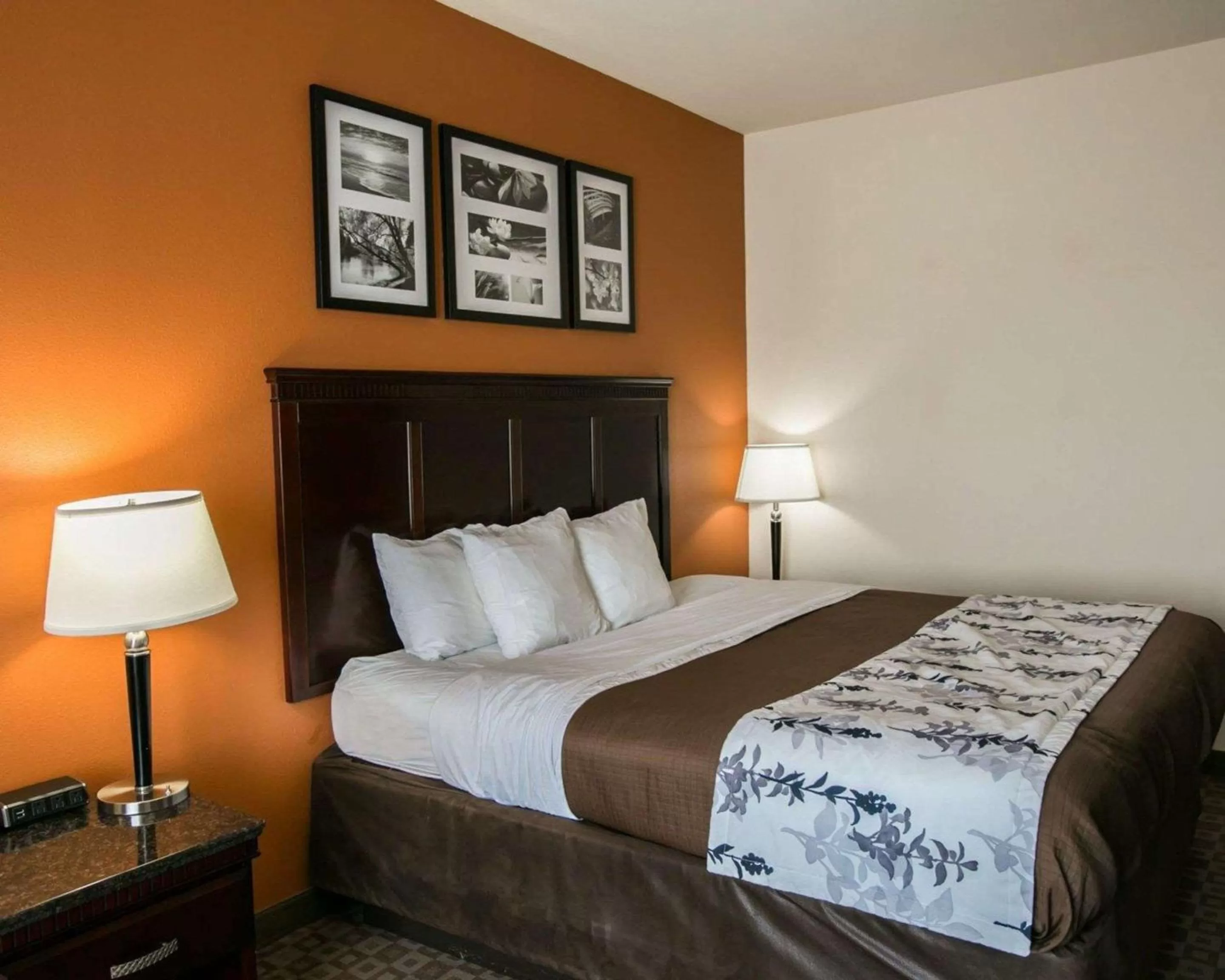Photo of the whole room, Bed in Sleep Inn & Suites Hwy 290-NW Freeway
